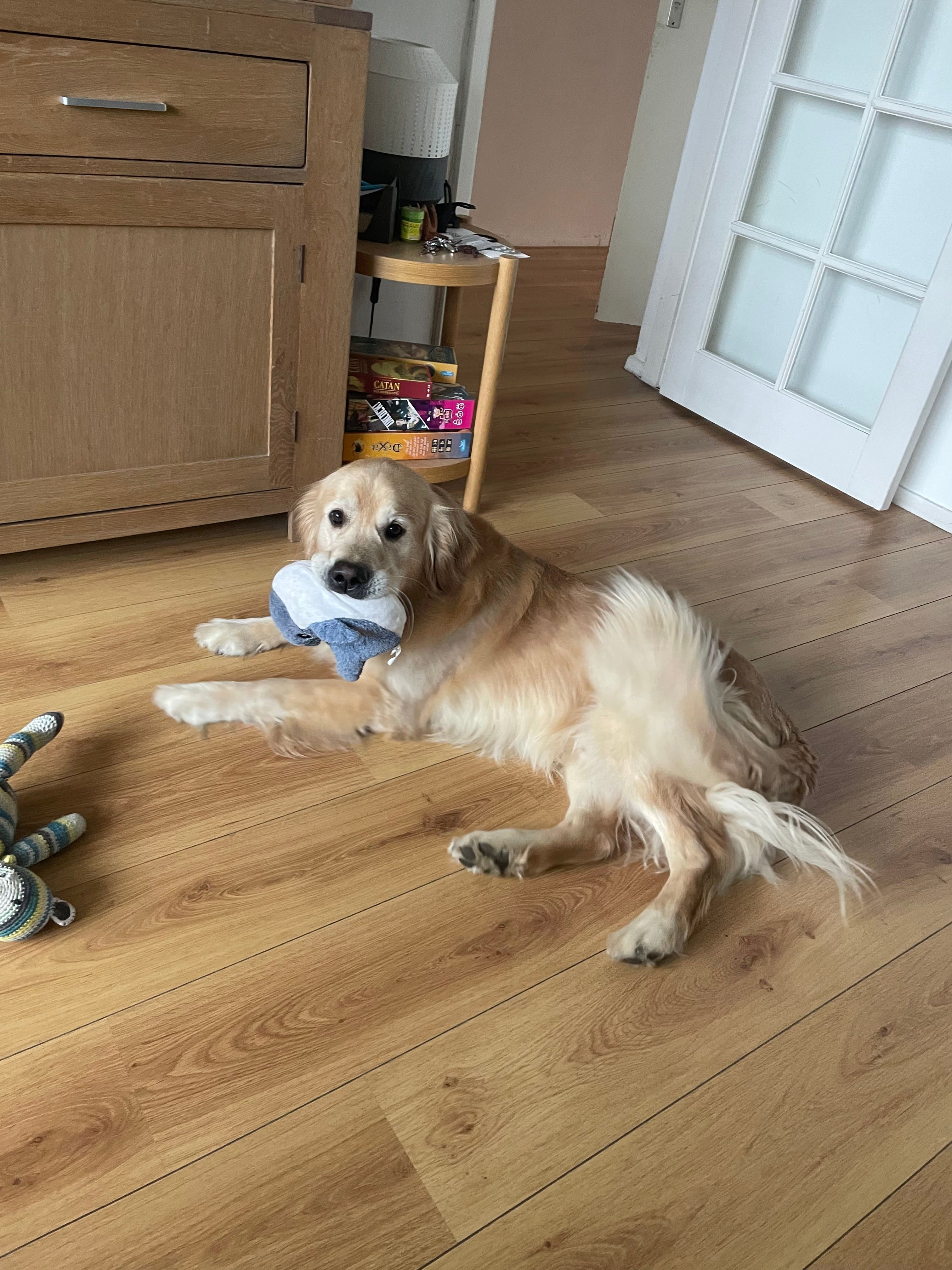 image-10