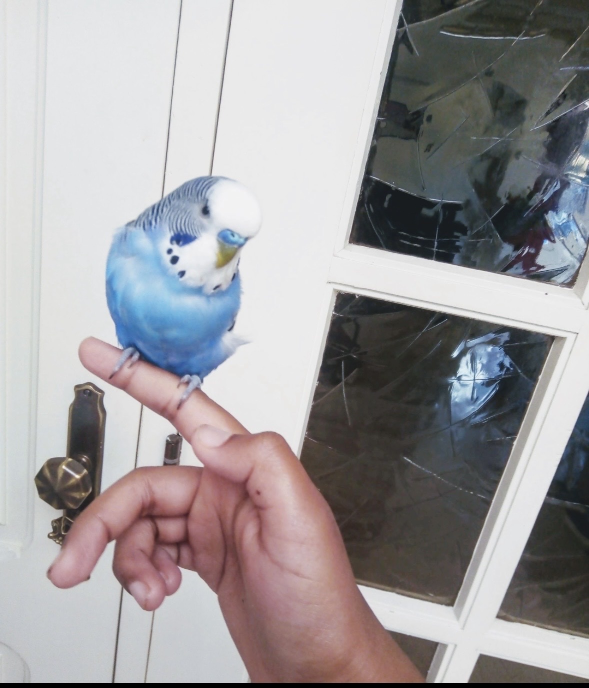 image-5