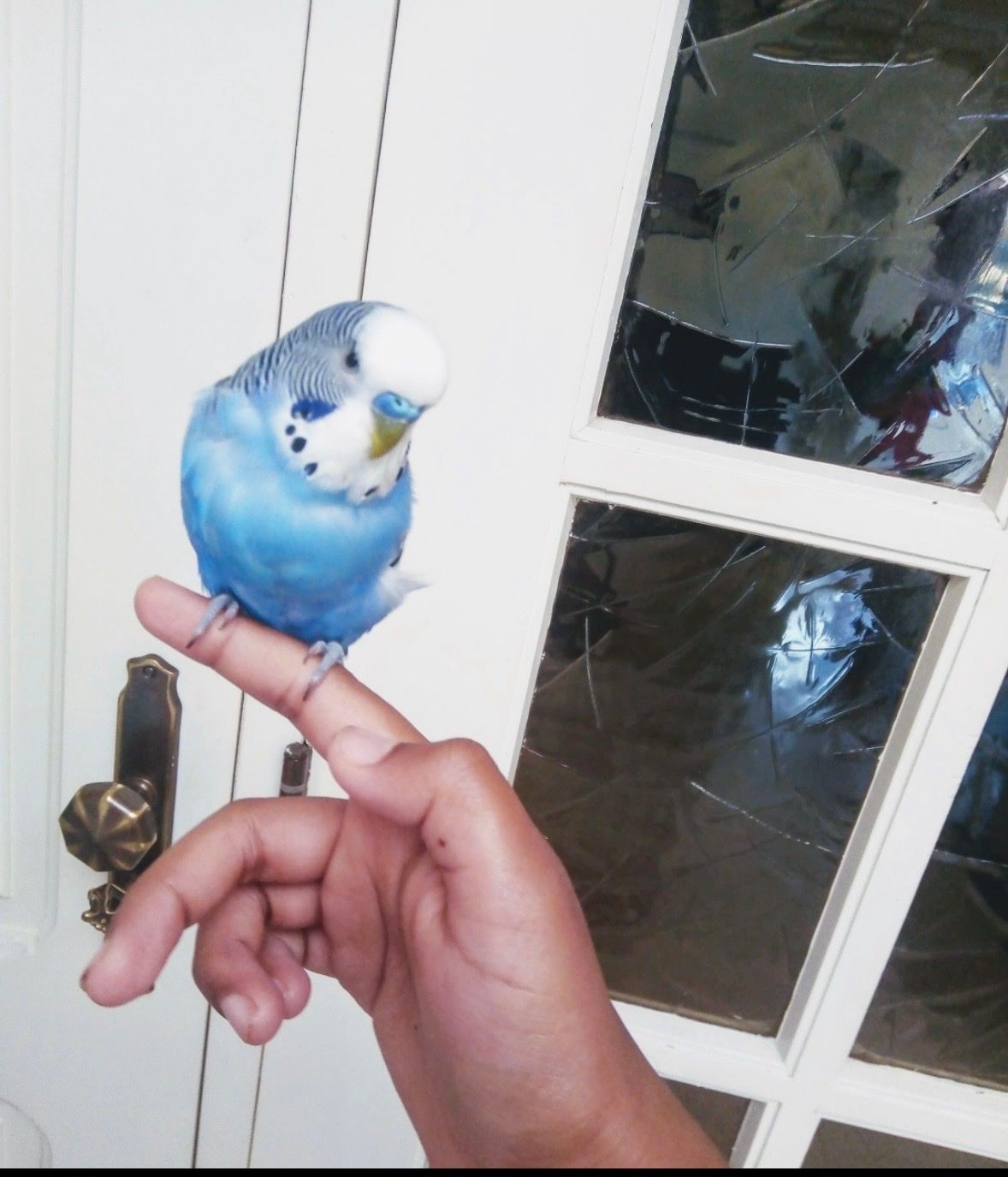 image-5