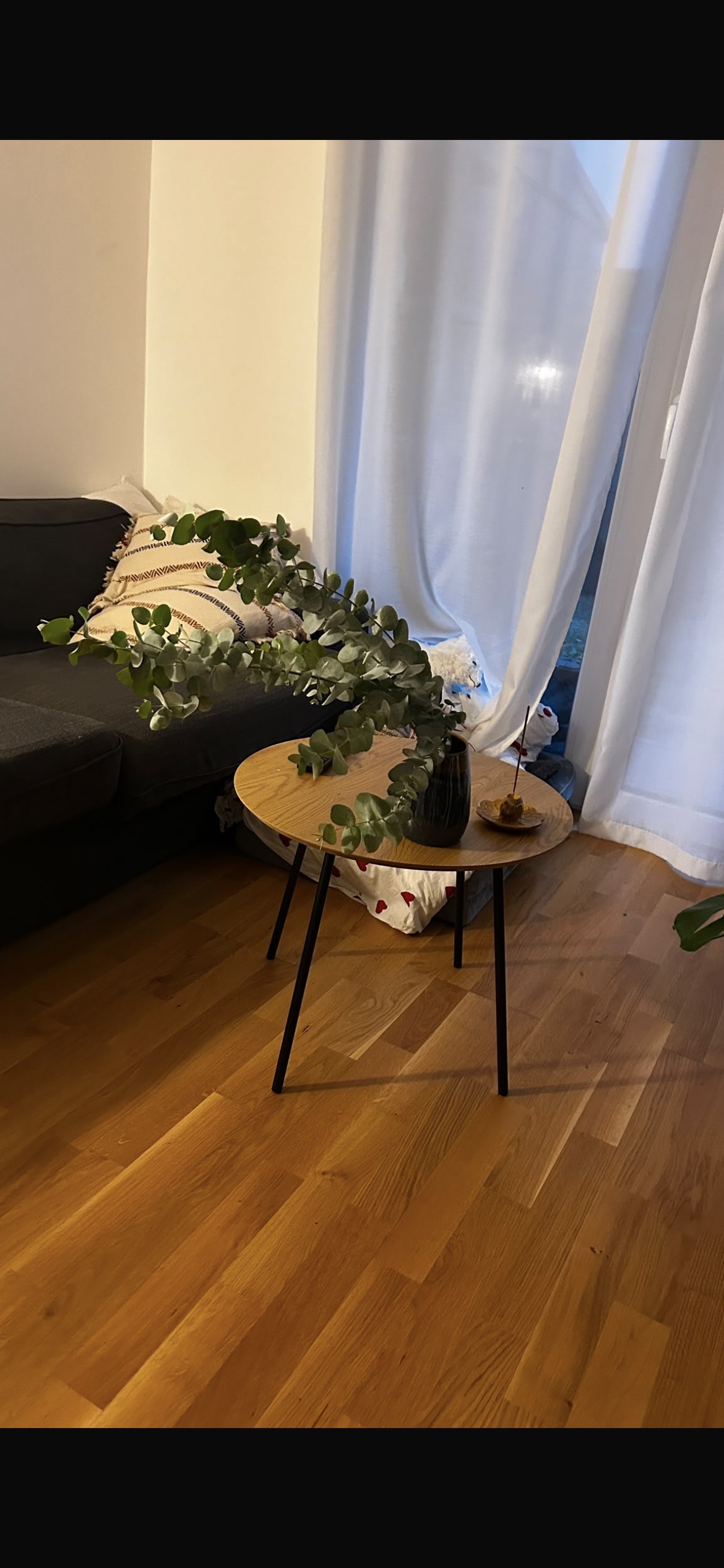 image-12