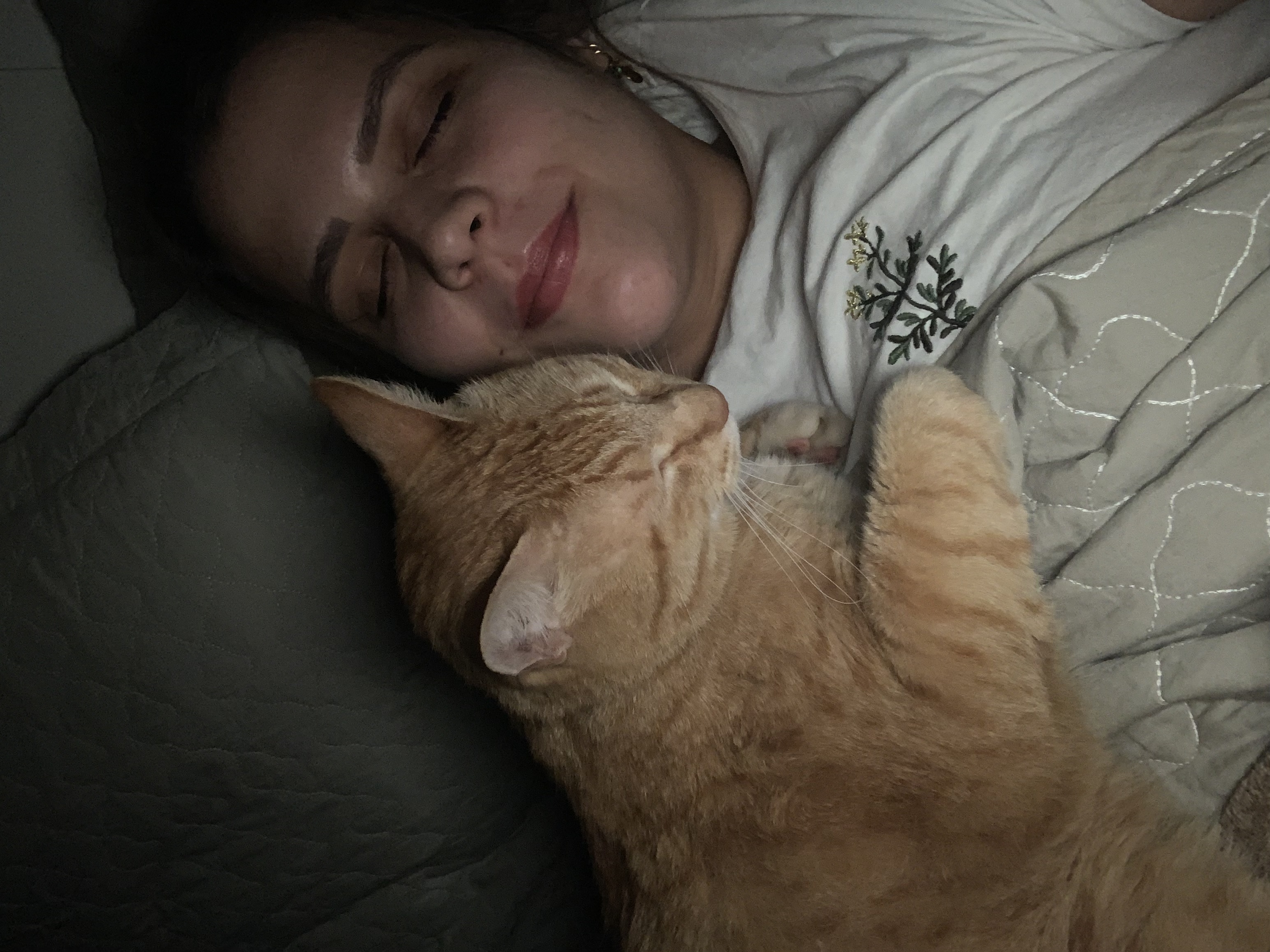 image-8