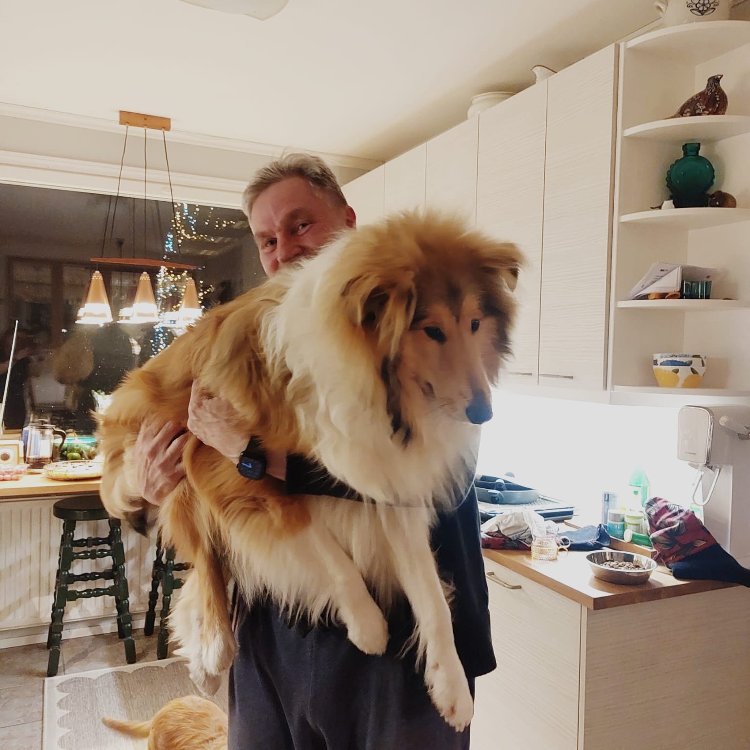 Juha