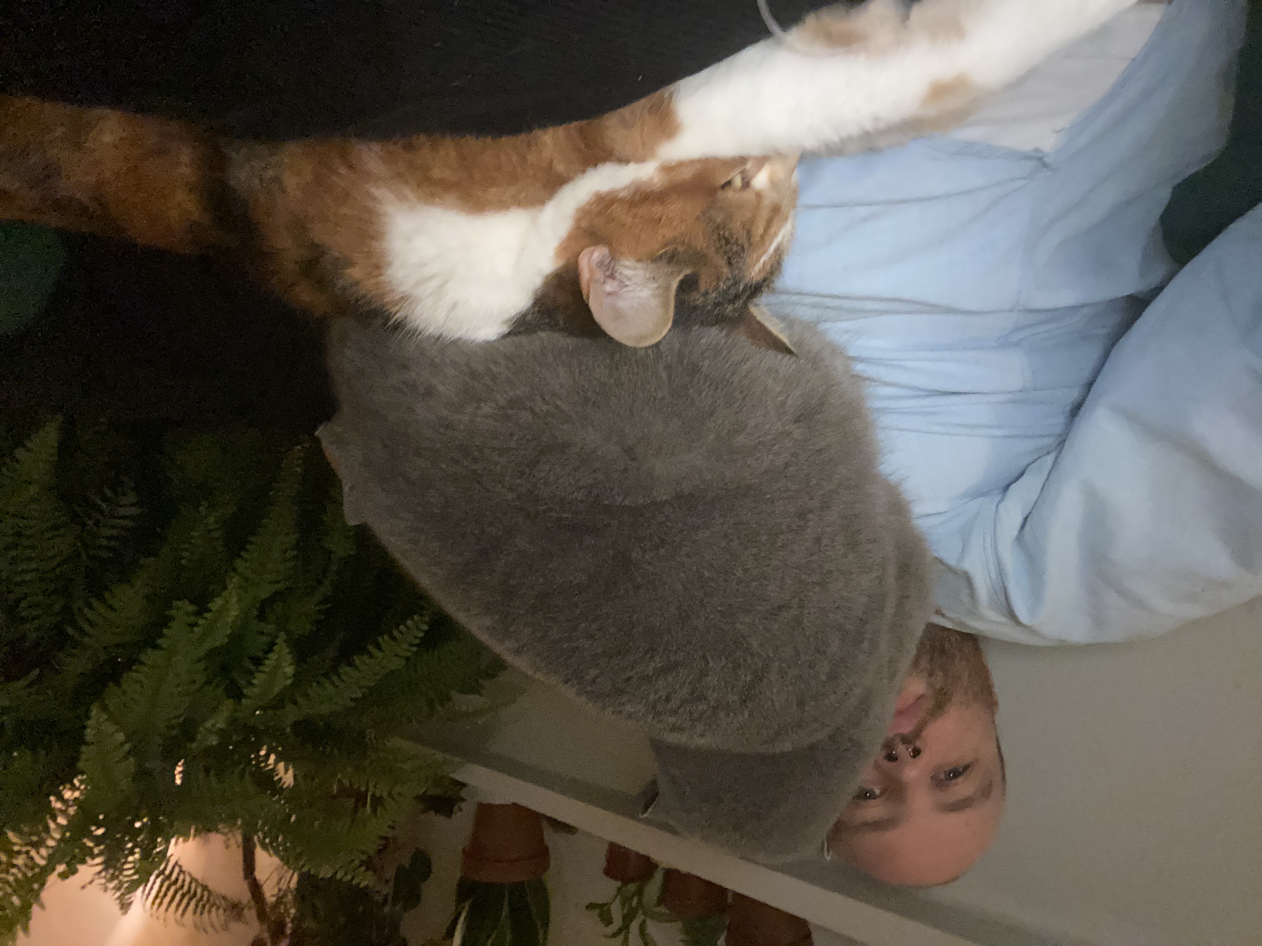 image-15