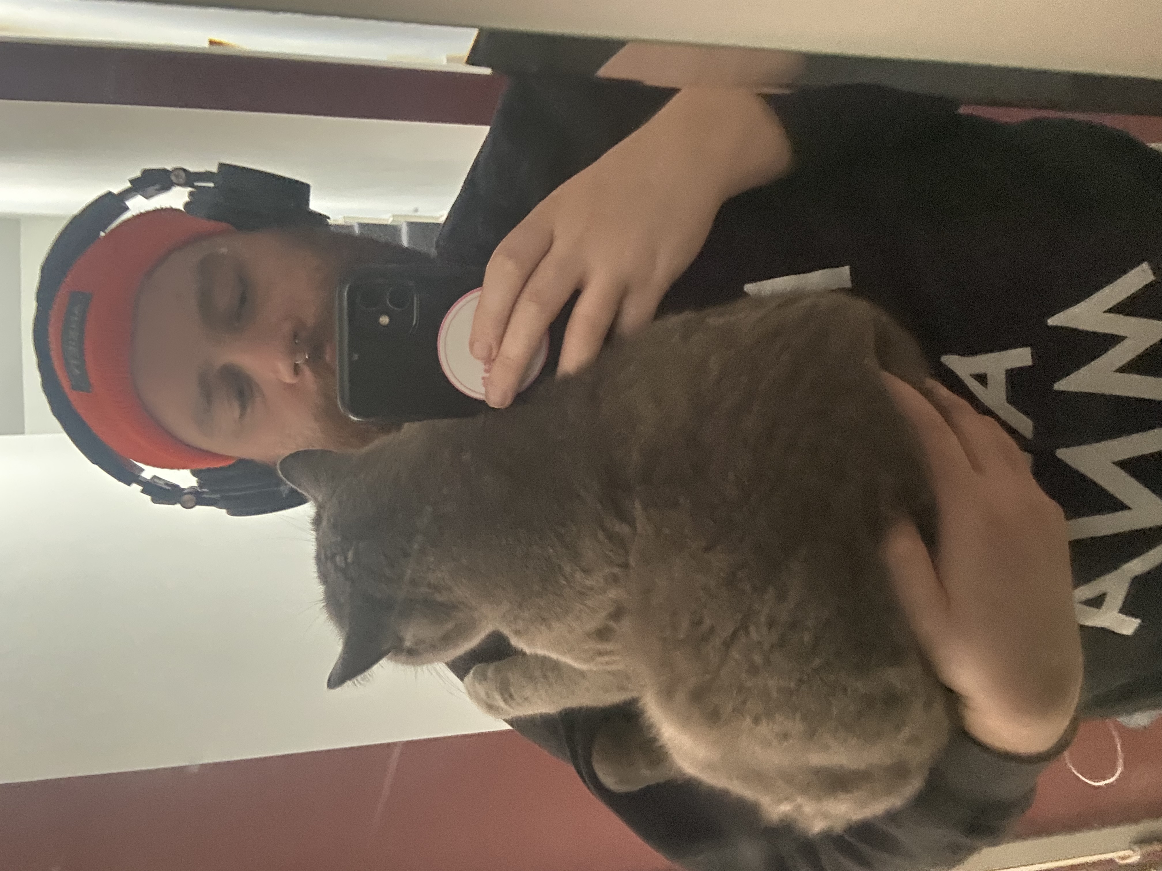 image-10