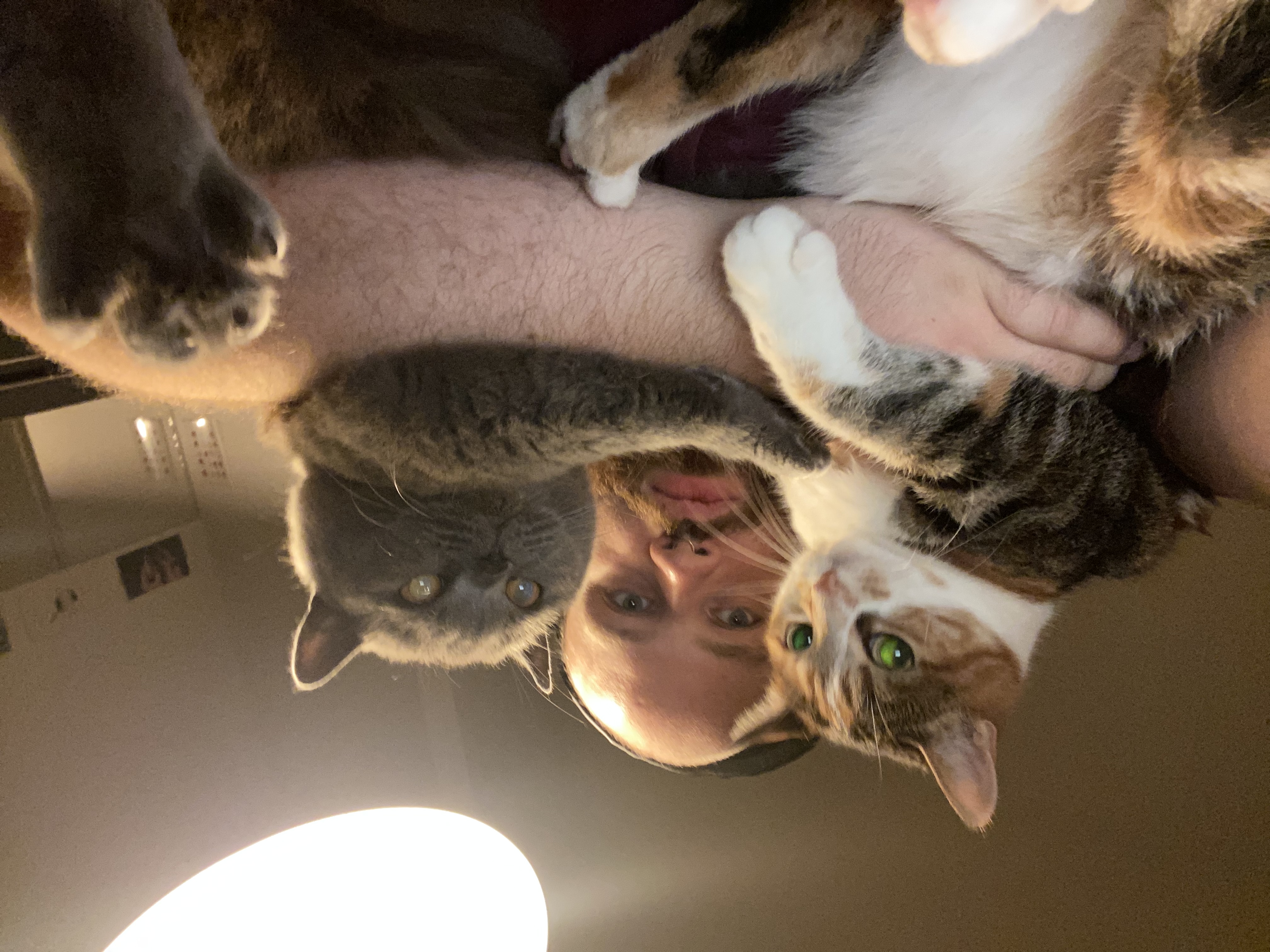 image-8