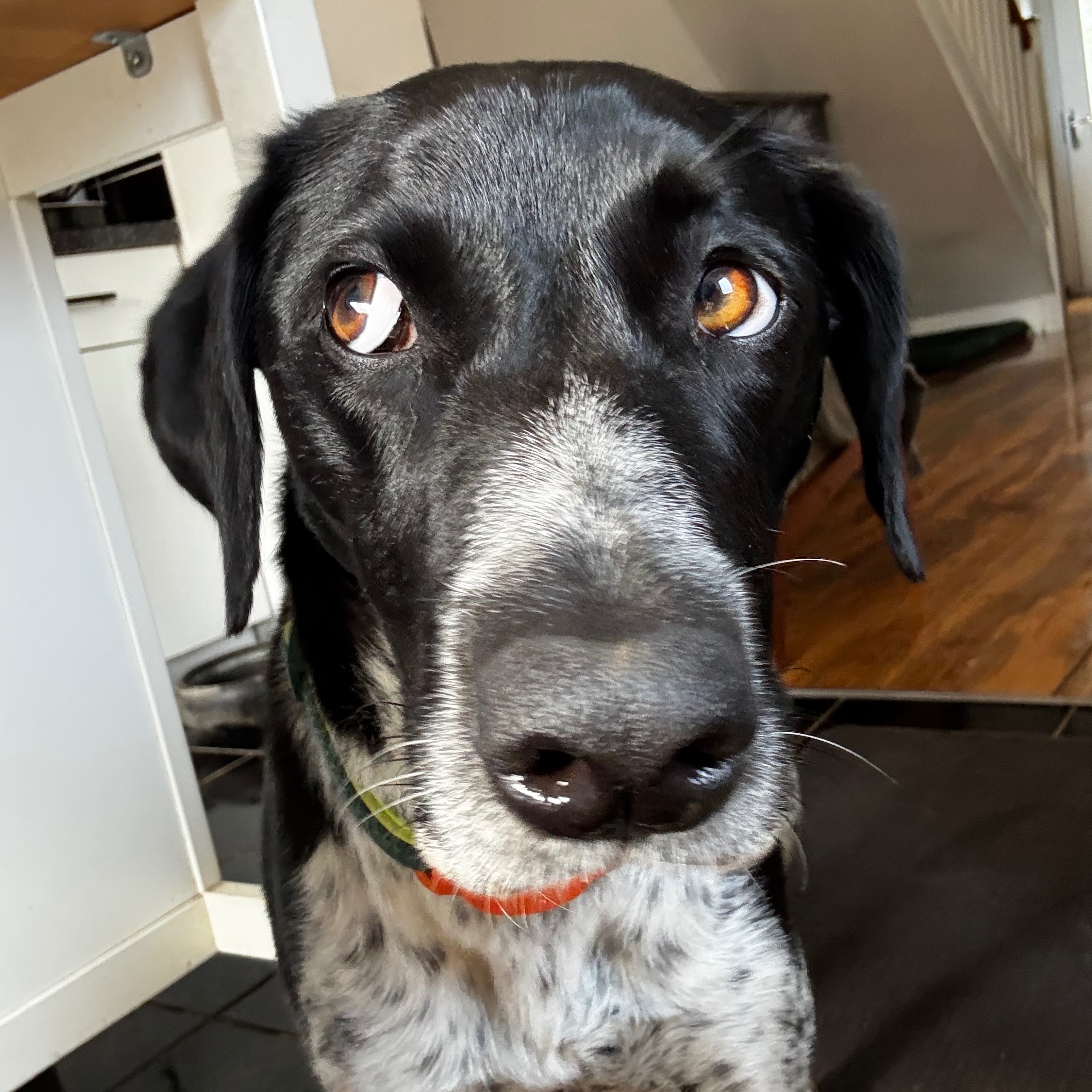 Mia 
