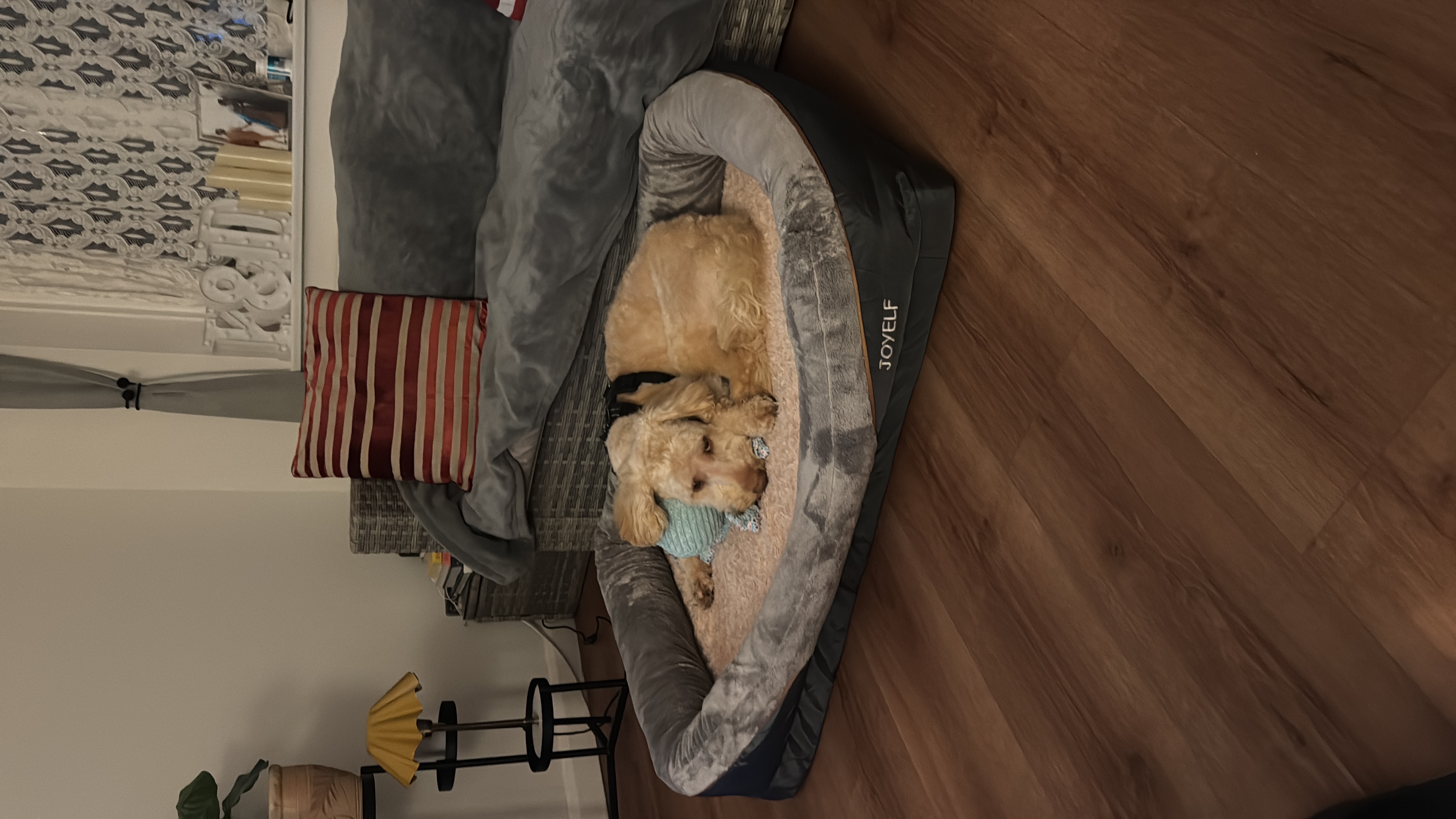 image-6