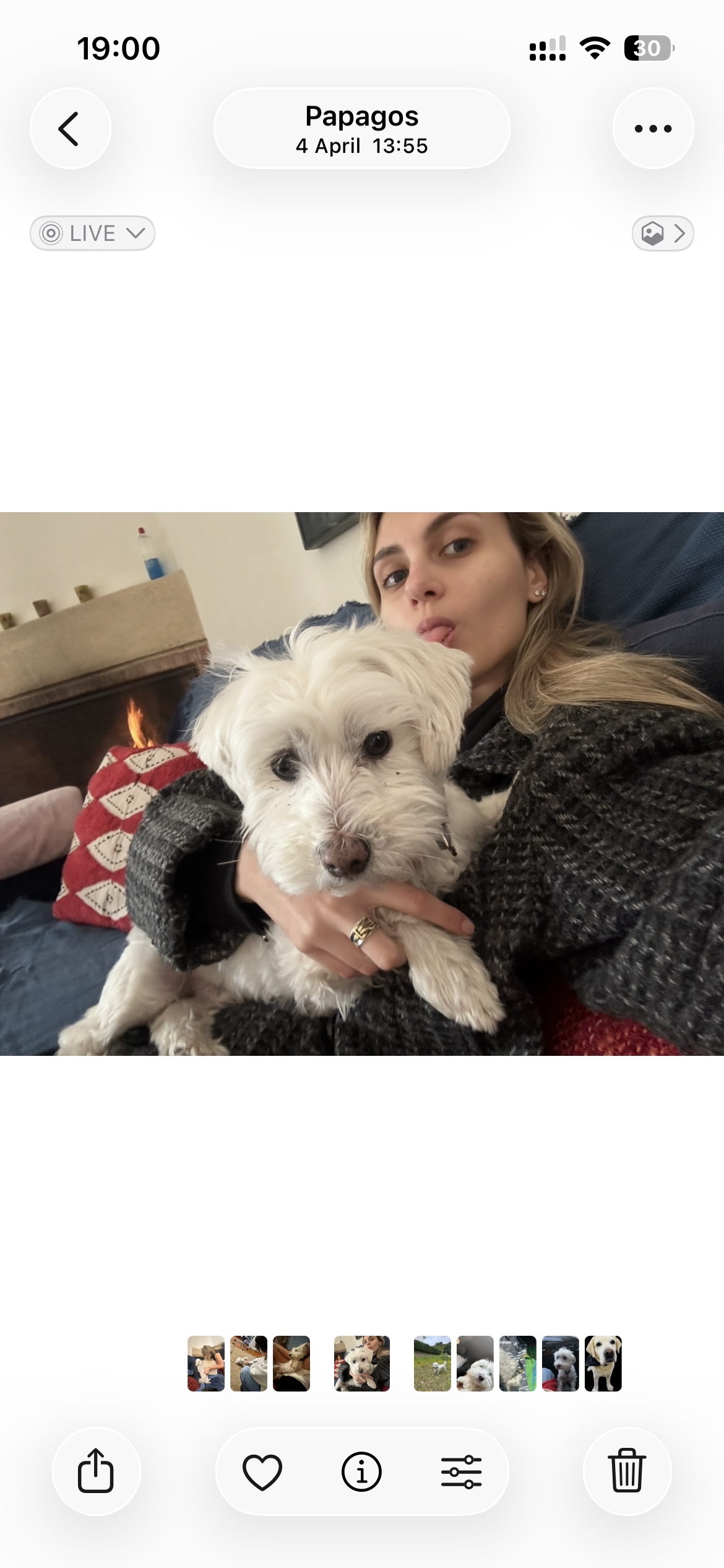image-8
