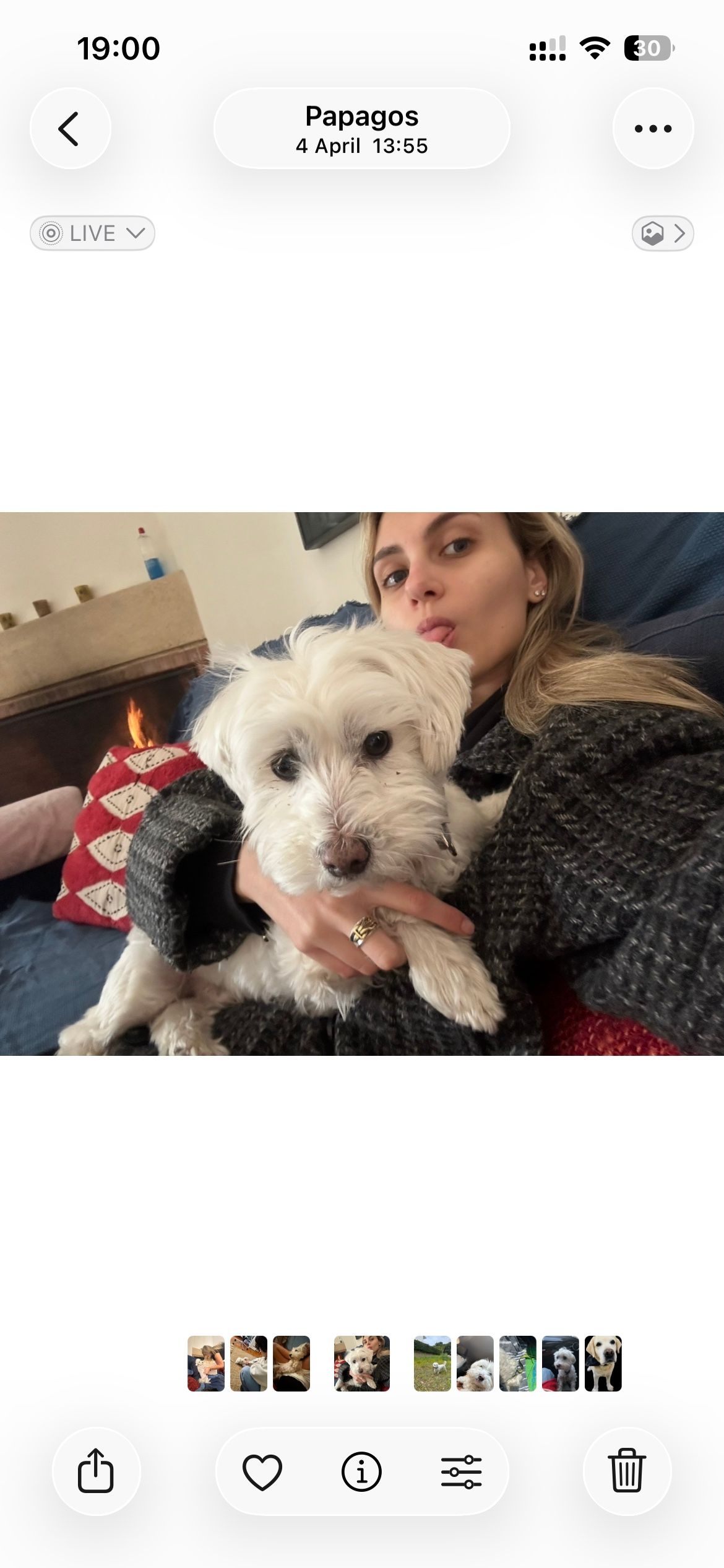 image-8