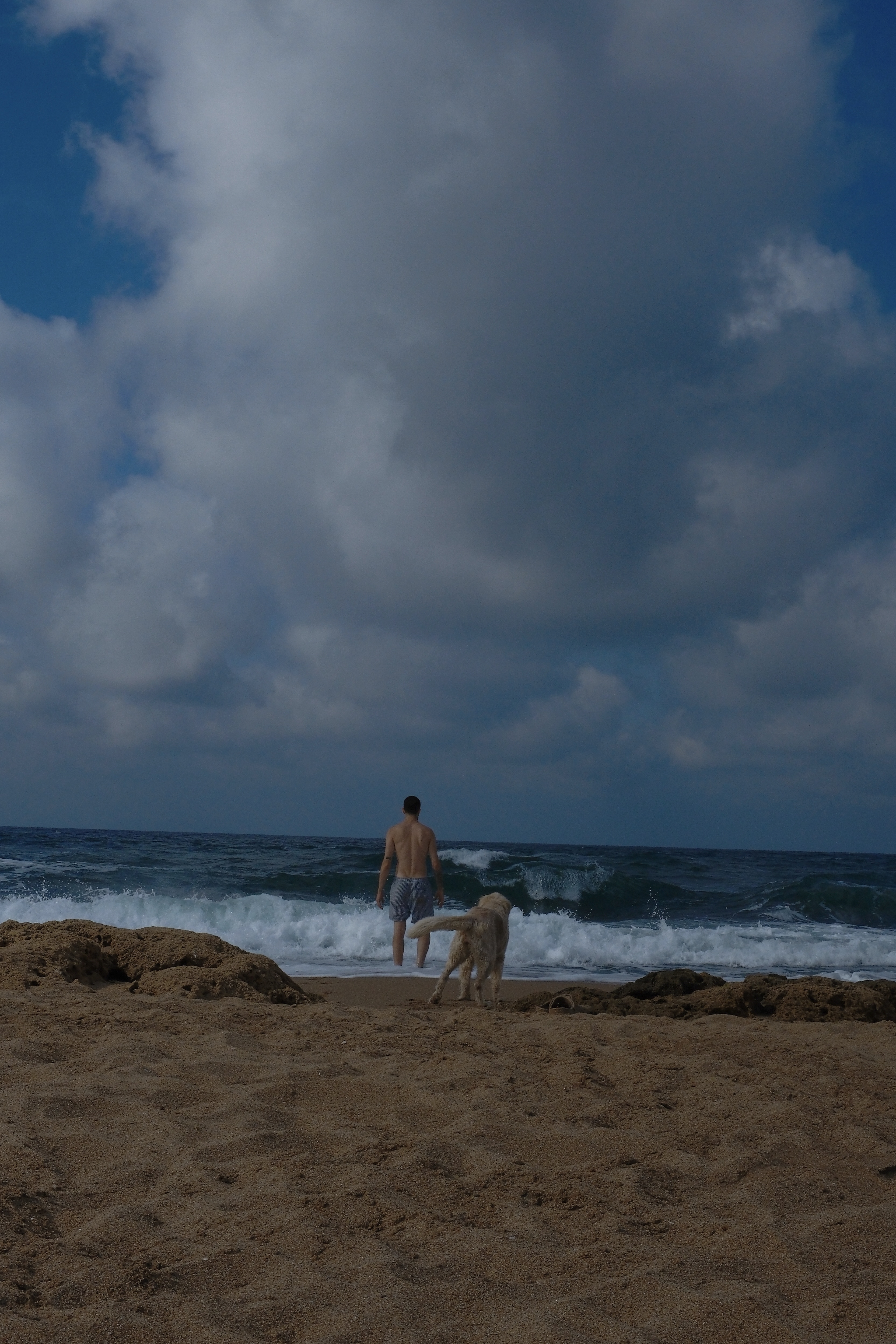 image-5