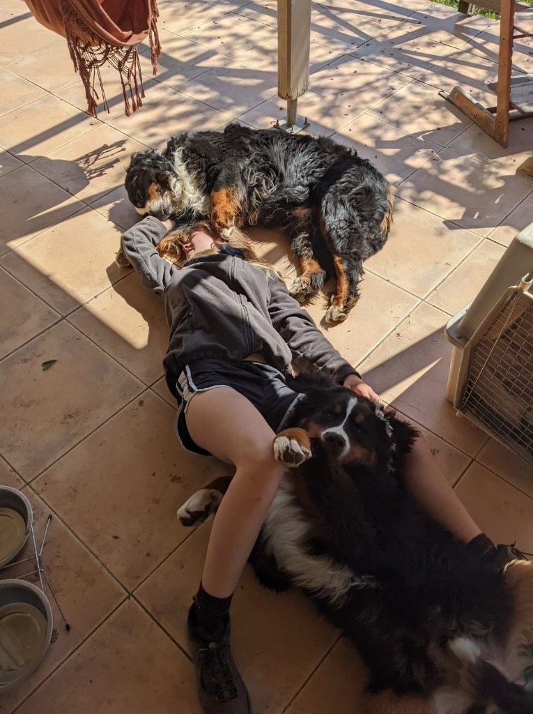 image-13