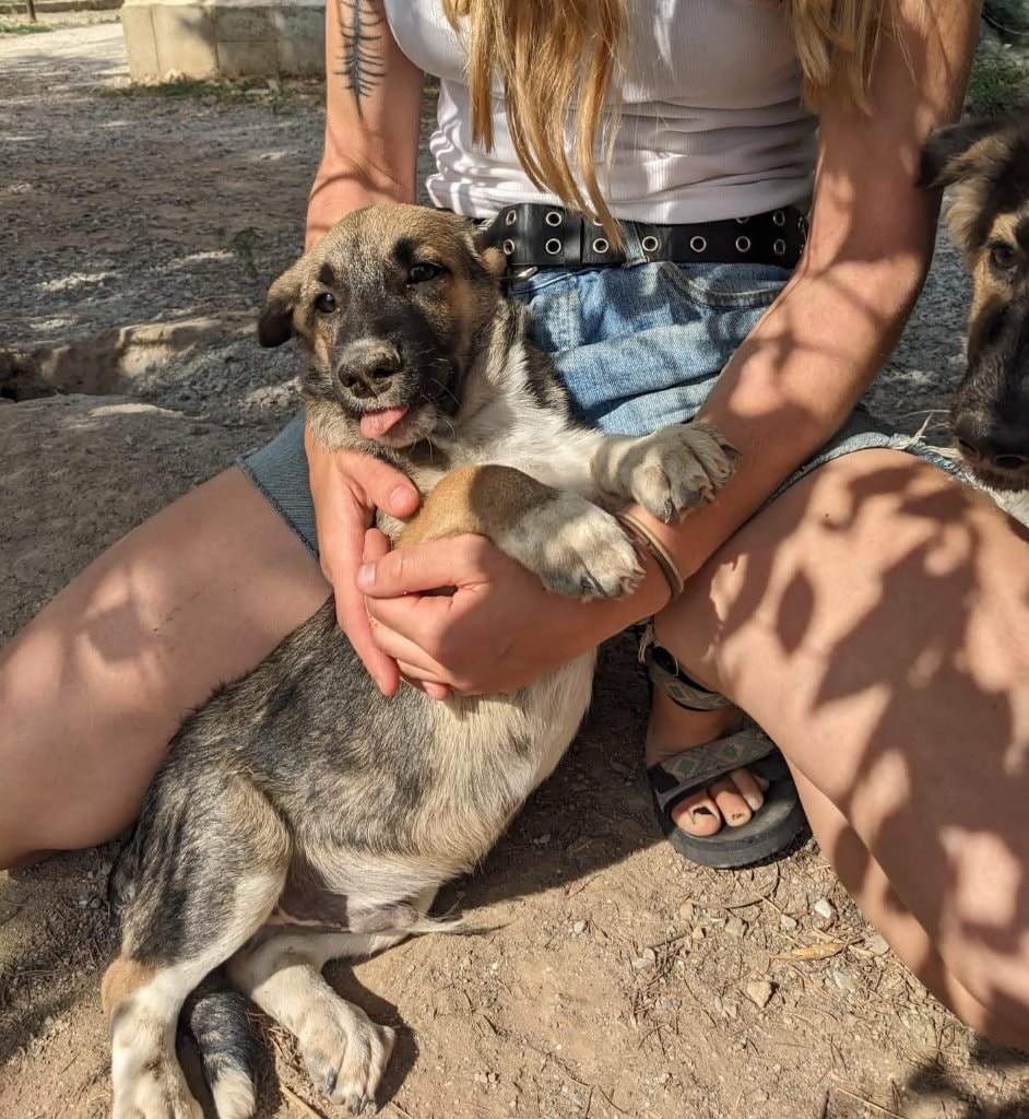 image-9