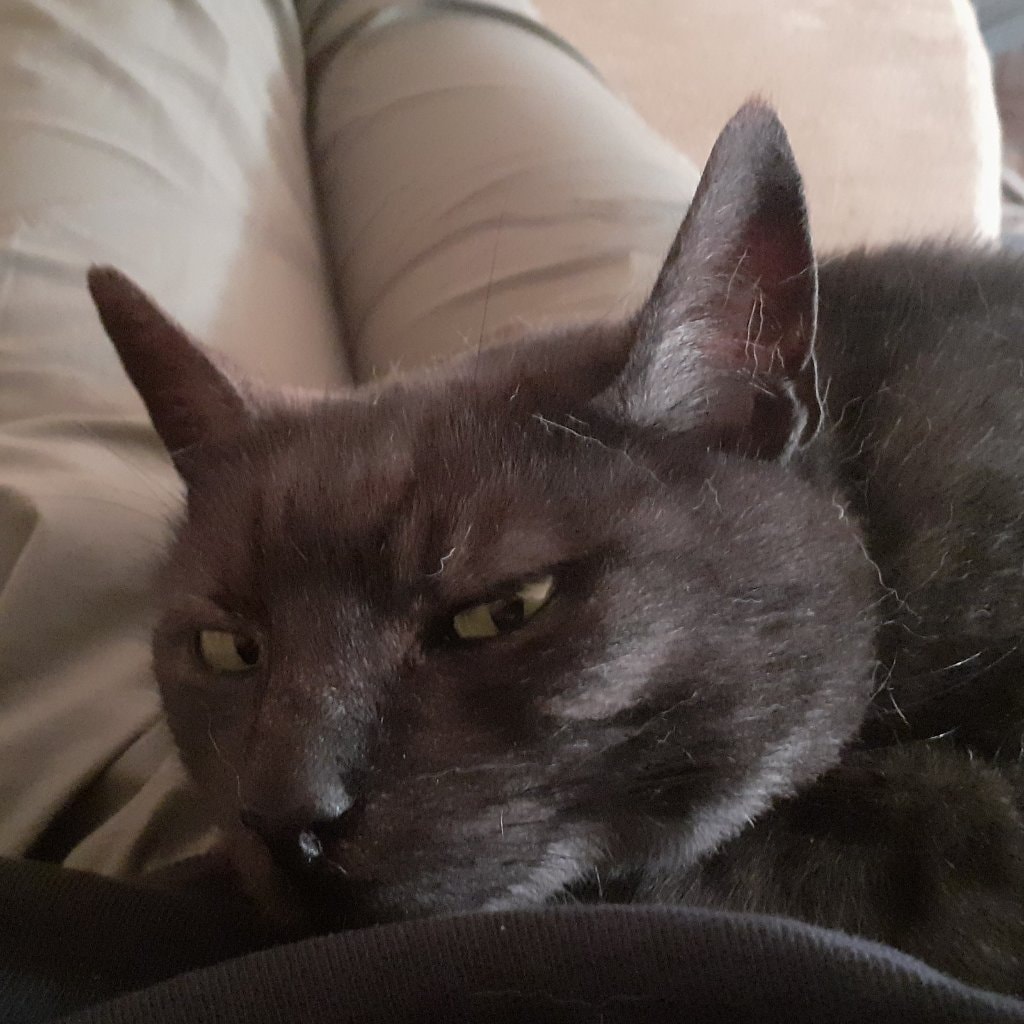 Bubba