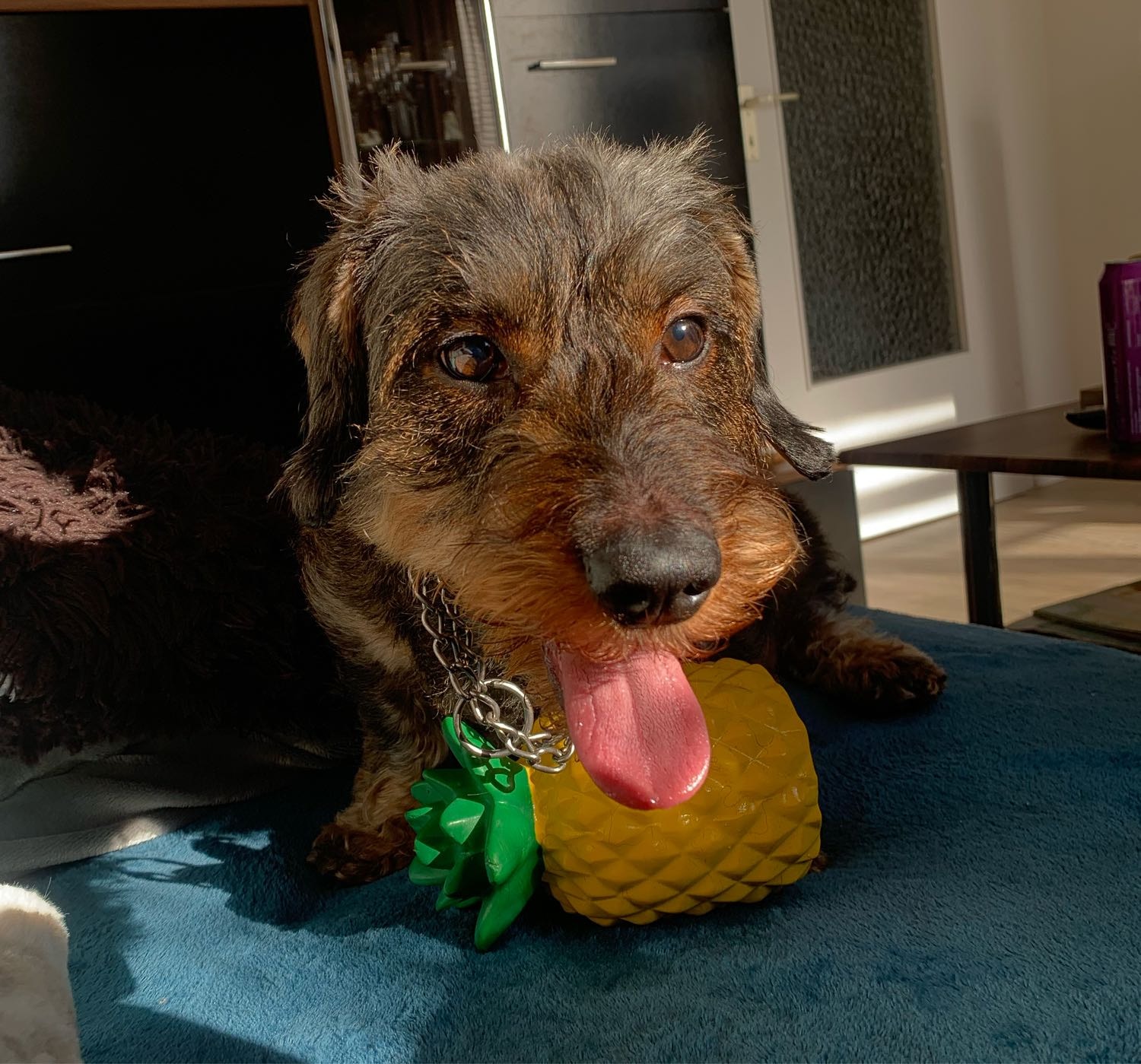 image-2