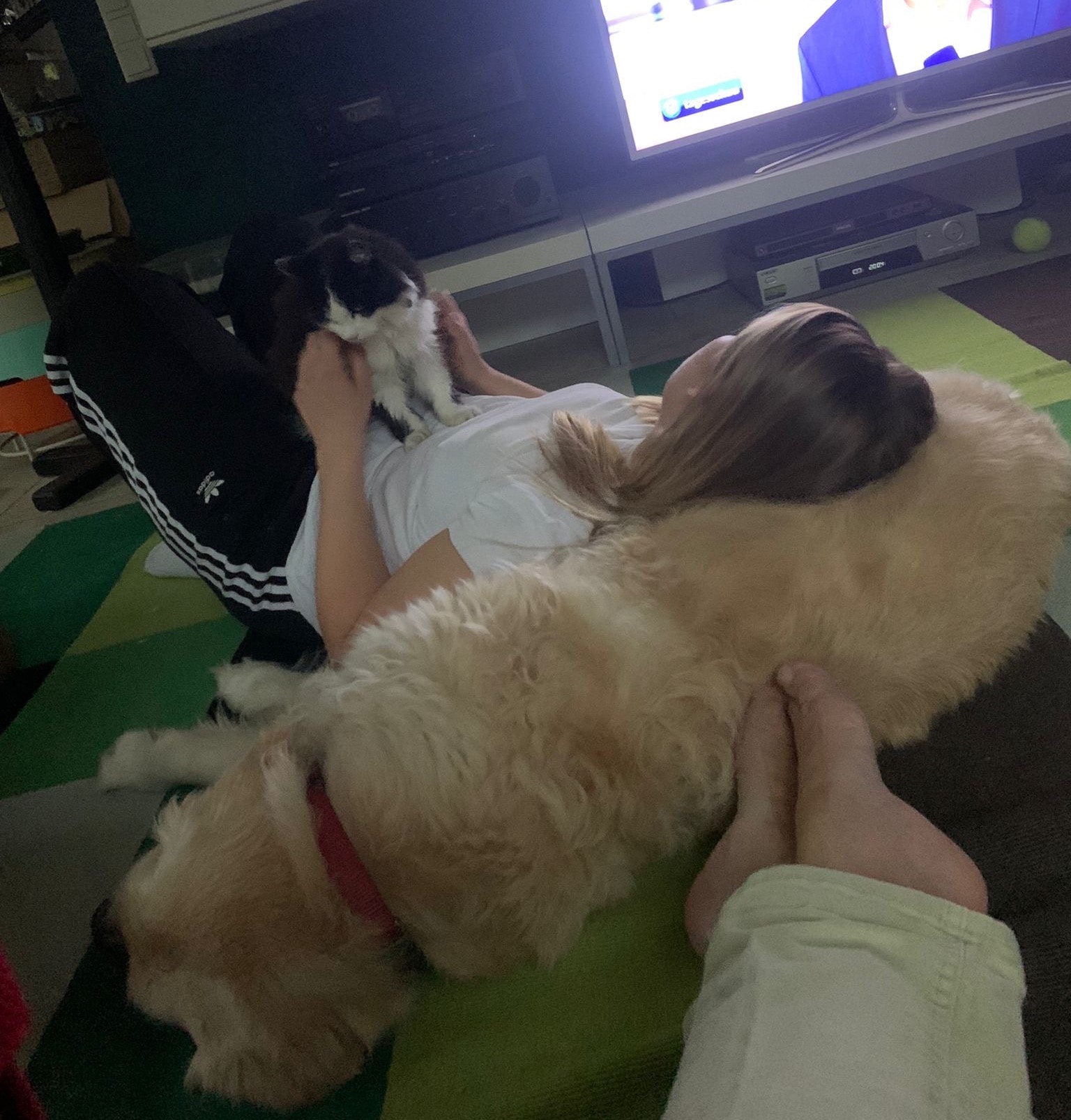 image-5