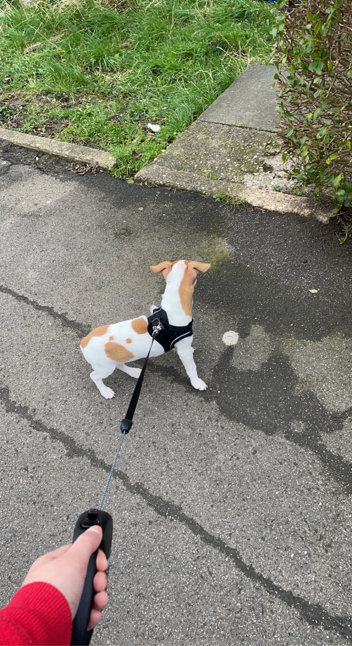 image-9