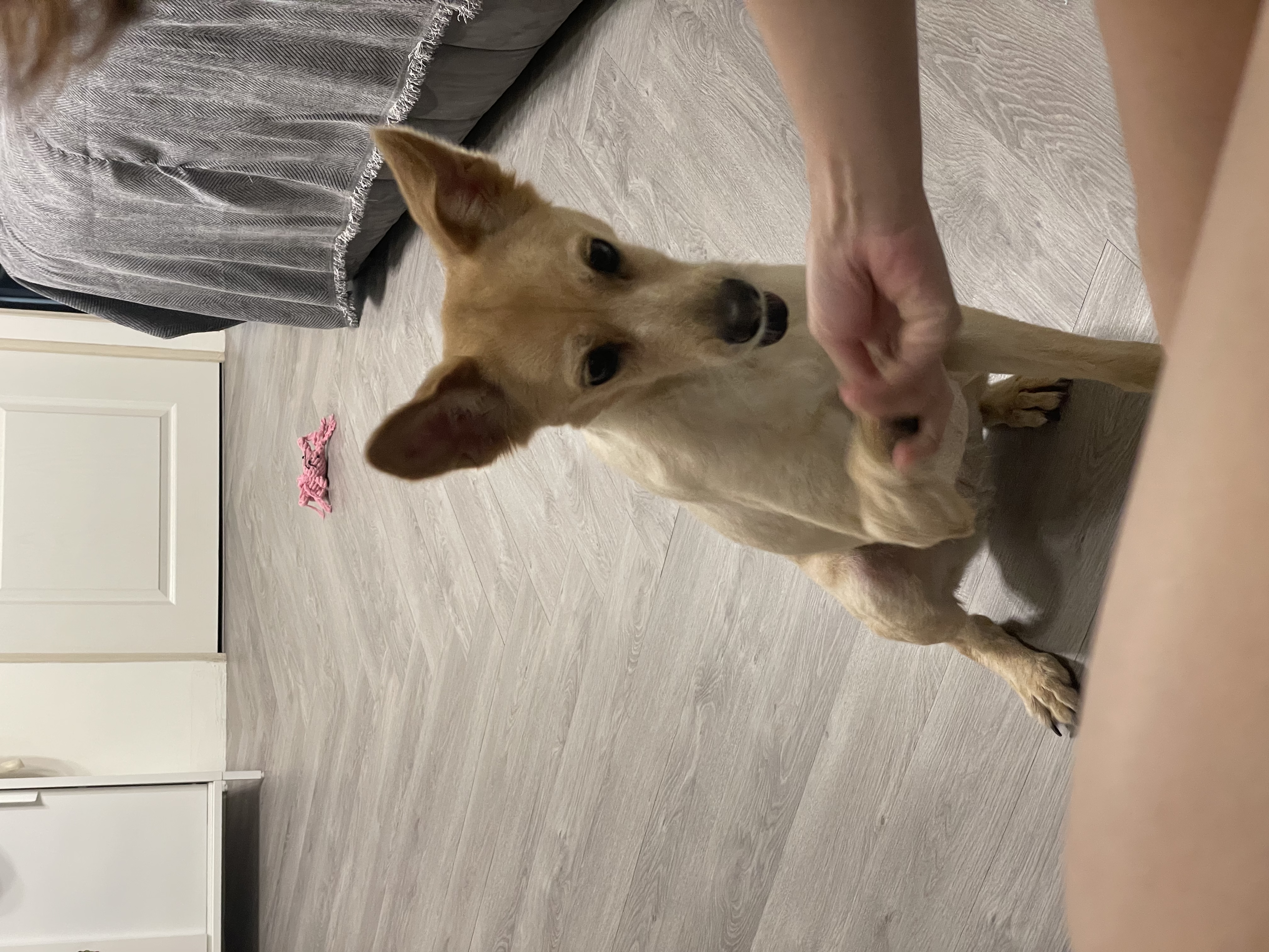 image-7