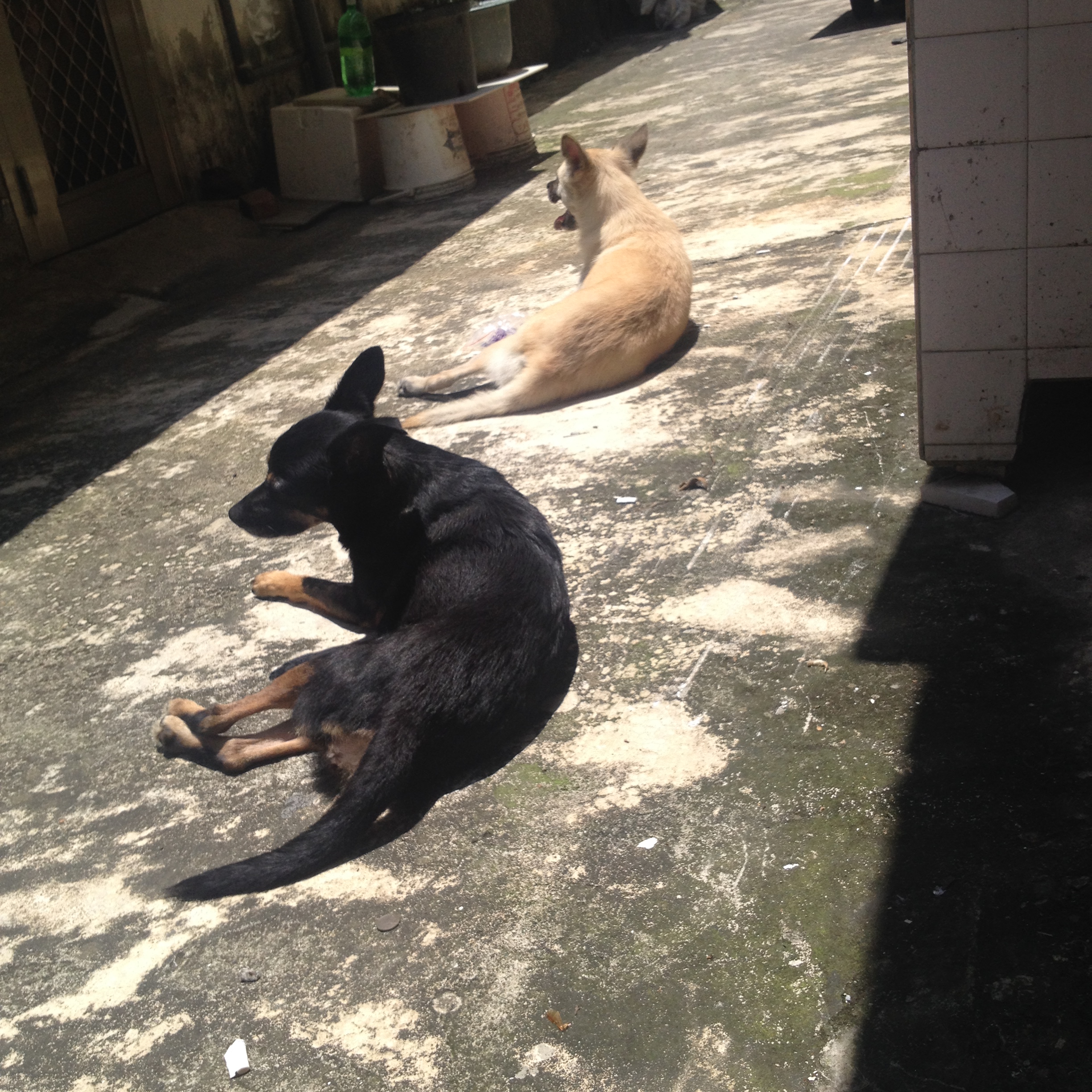 image-16