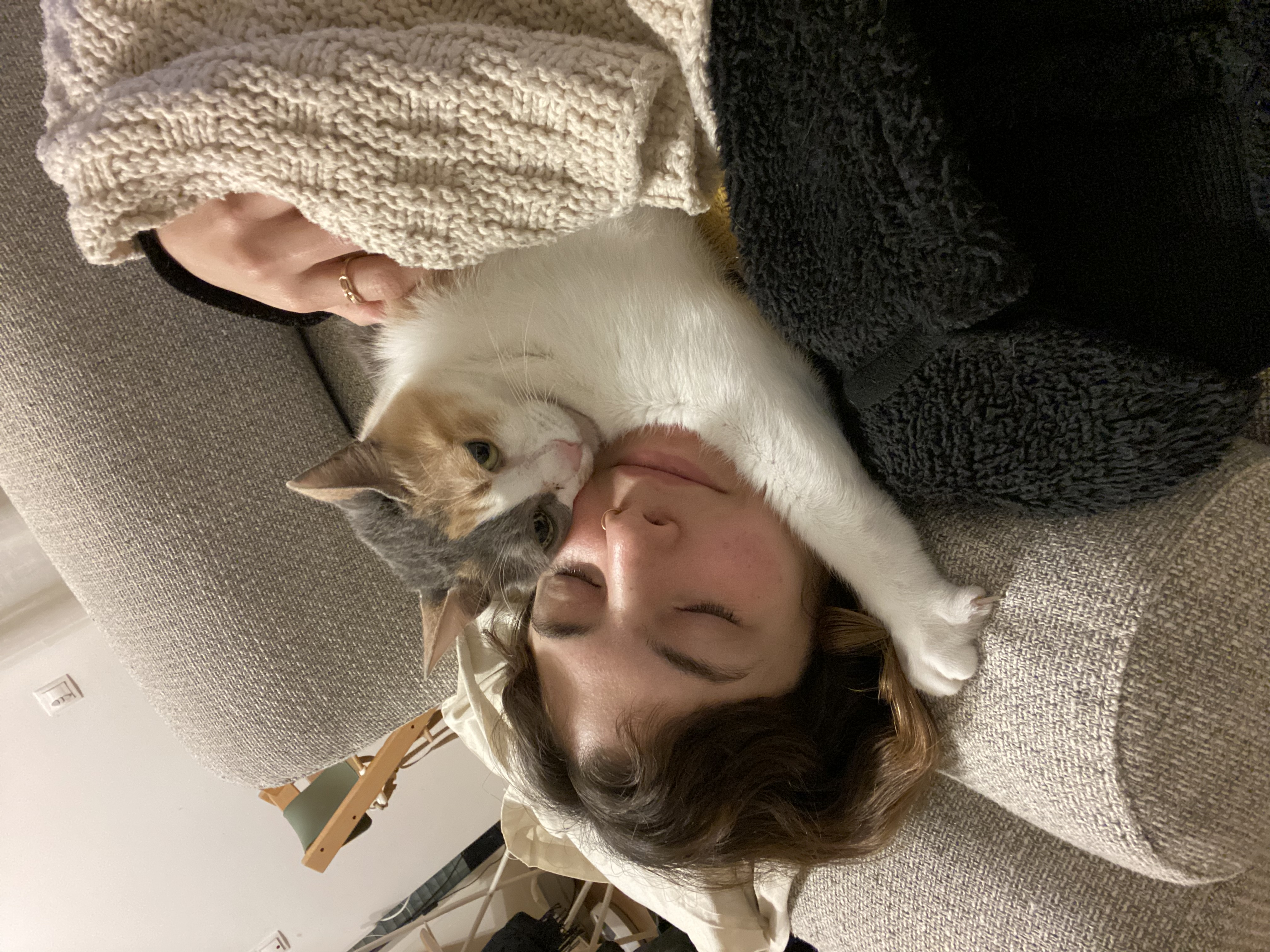image-8