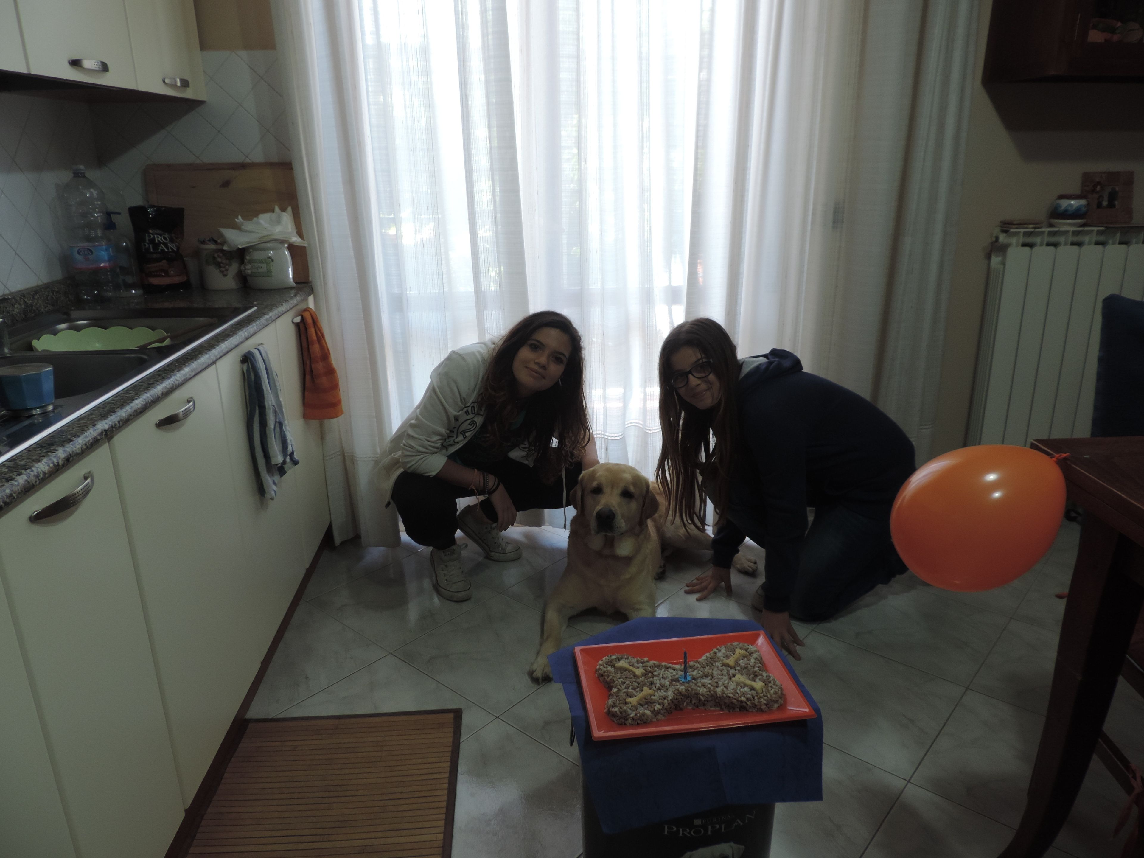image-16