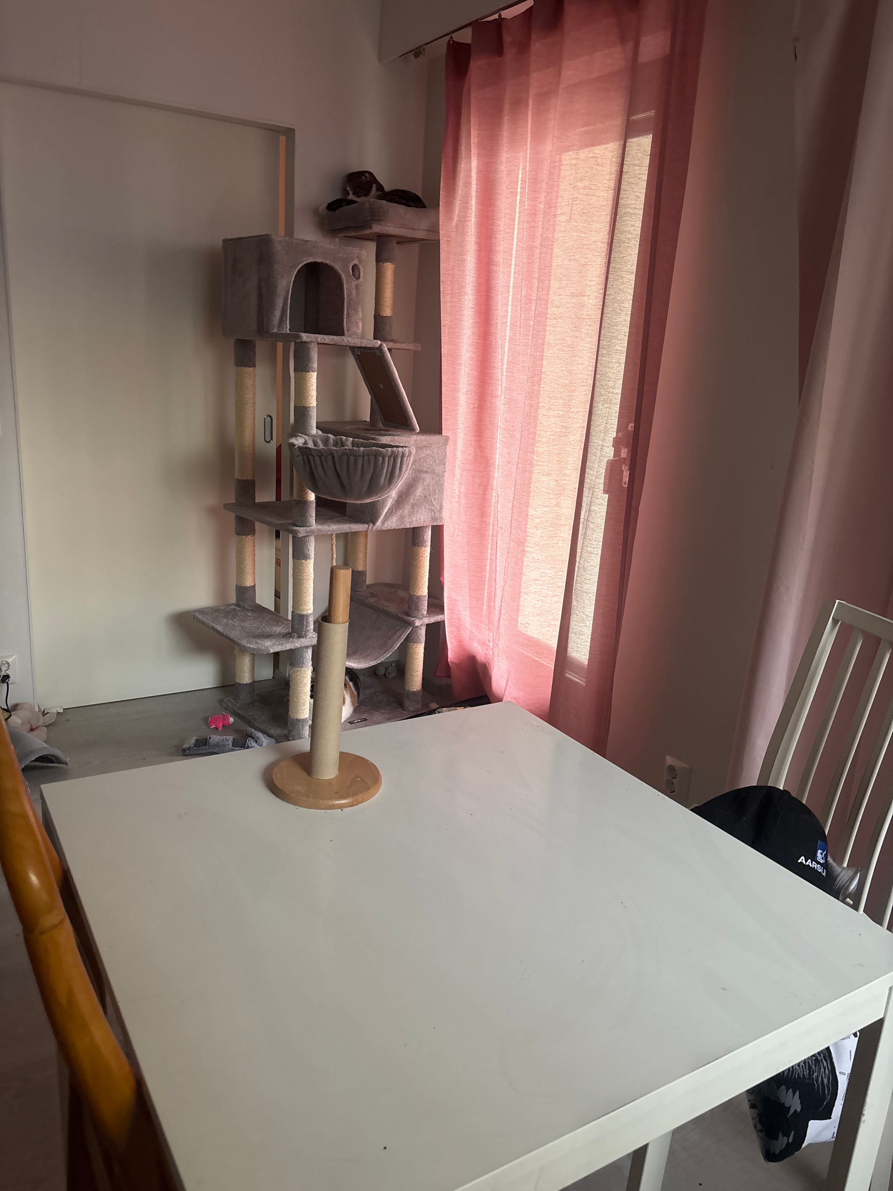 image-11