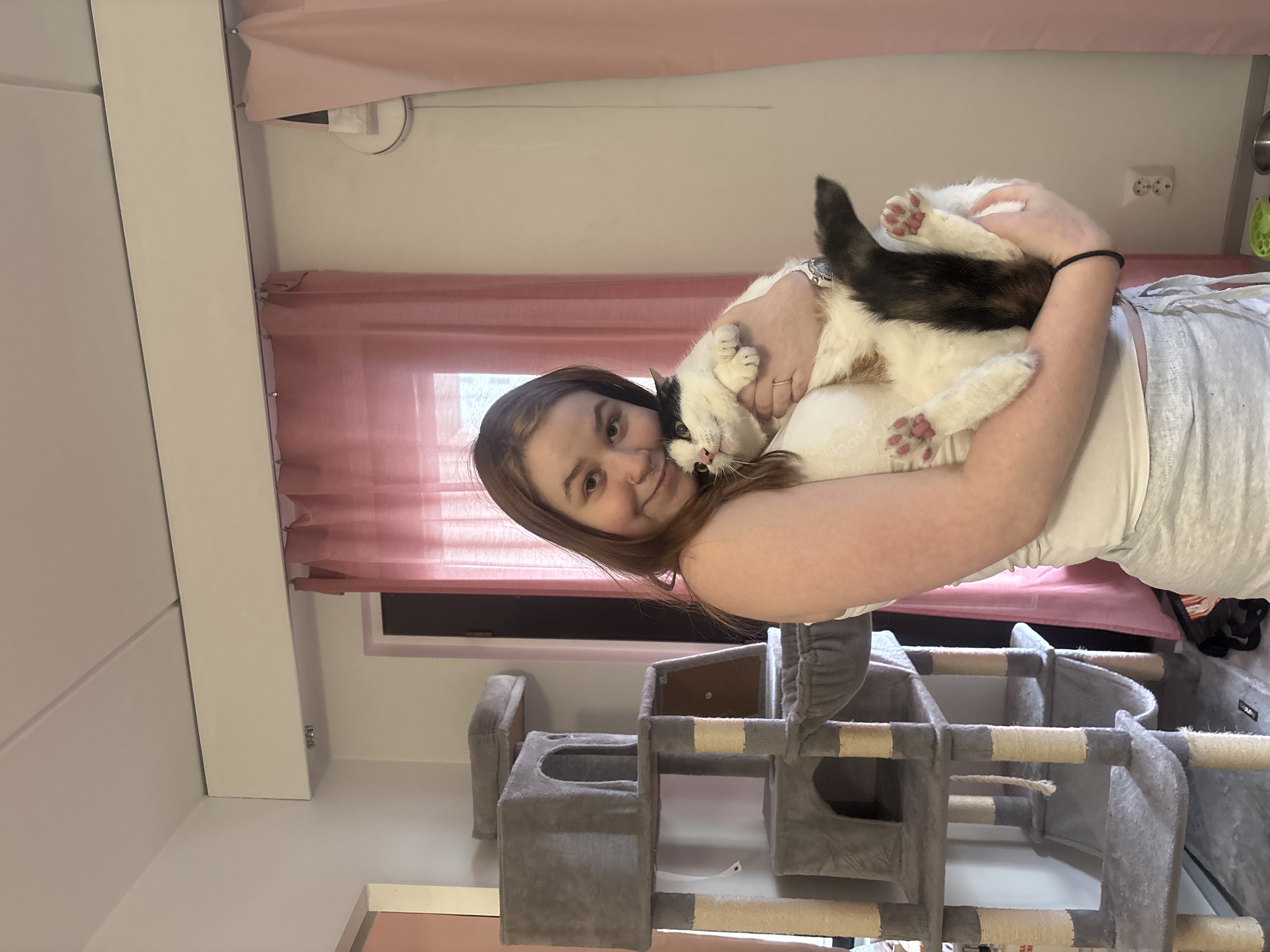 image-8
