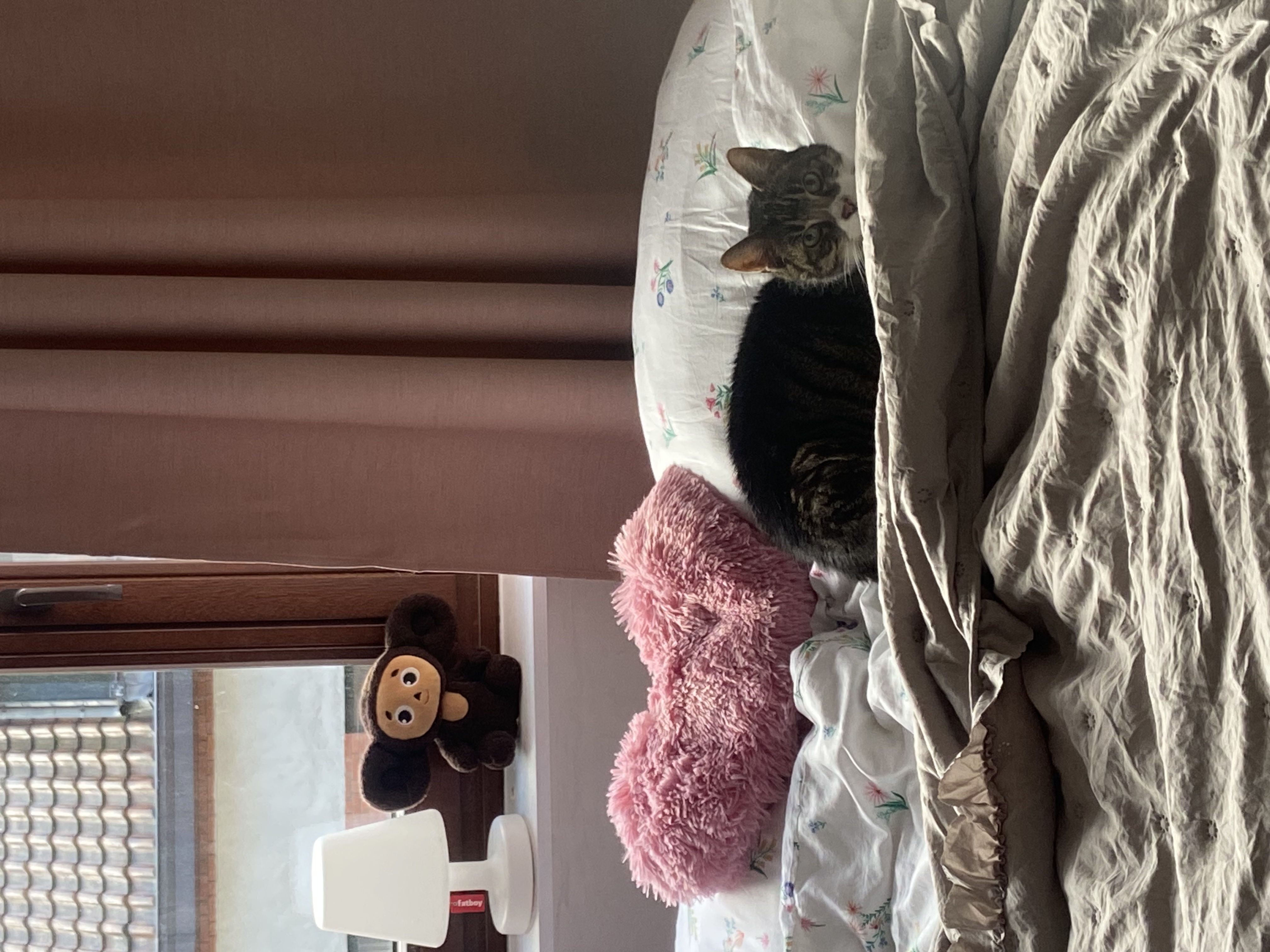 image-16
