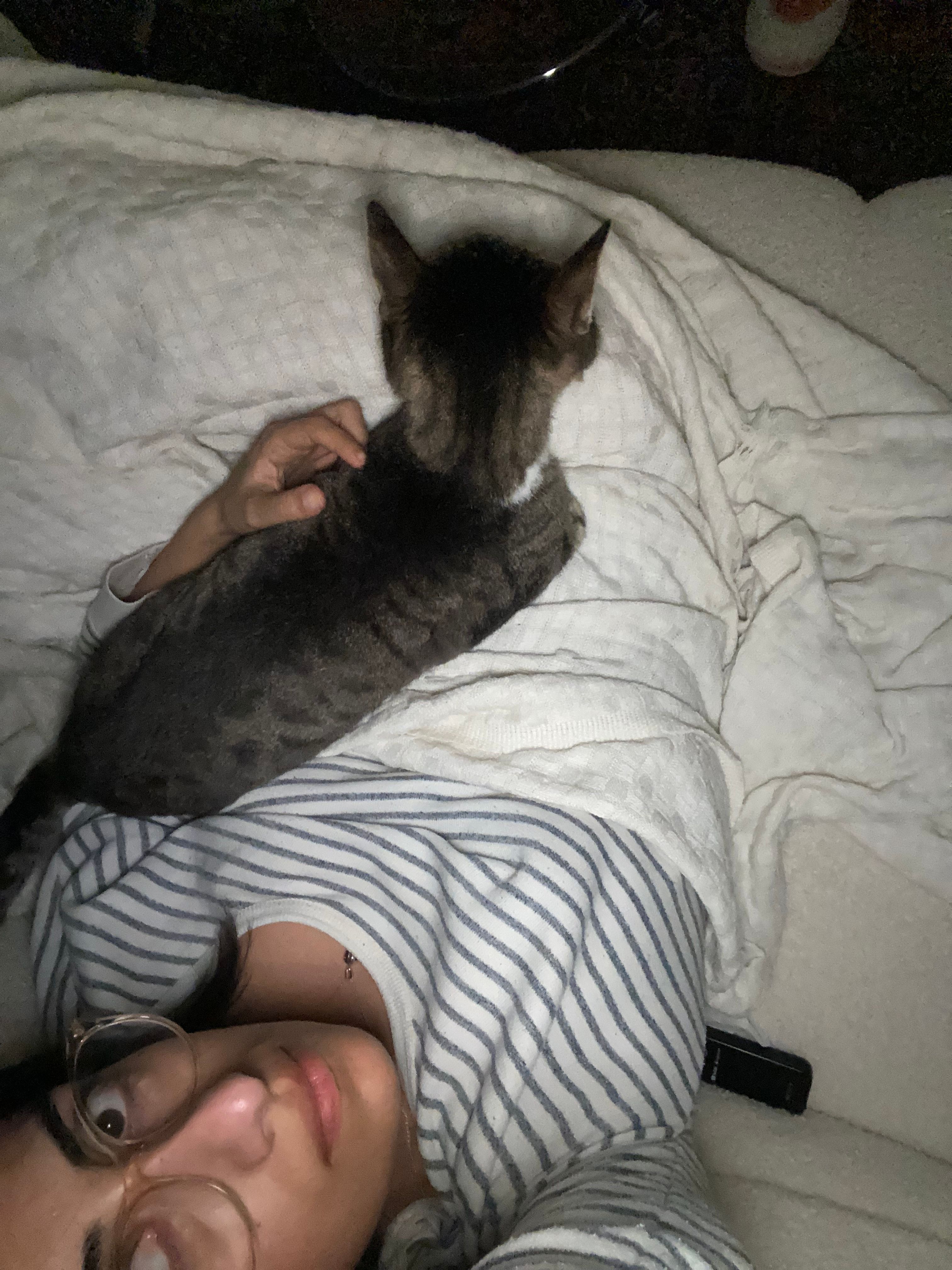 image-8