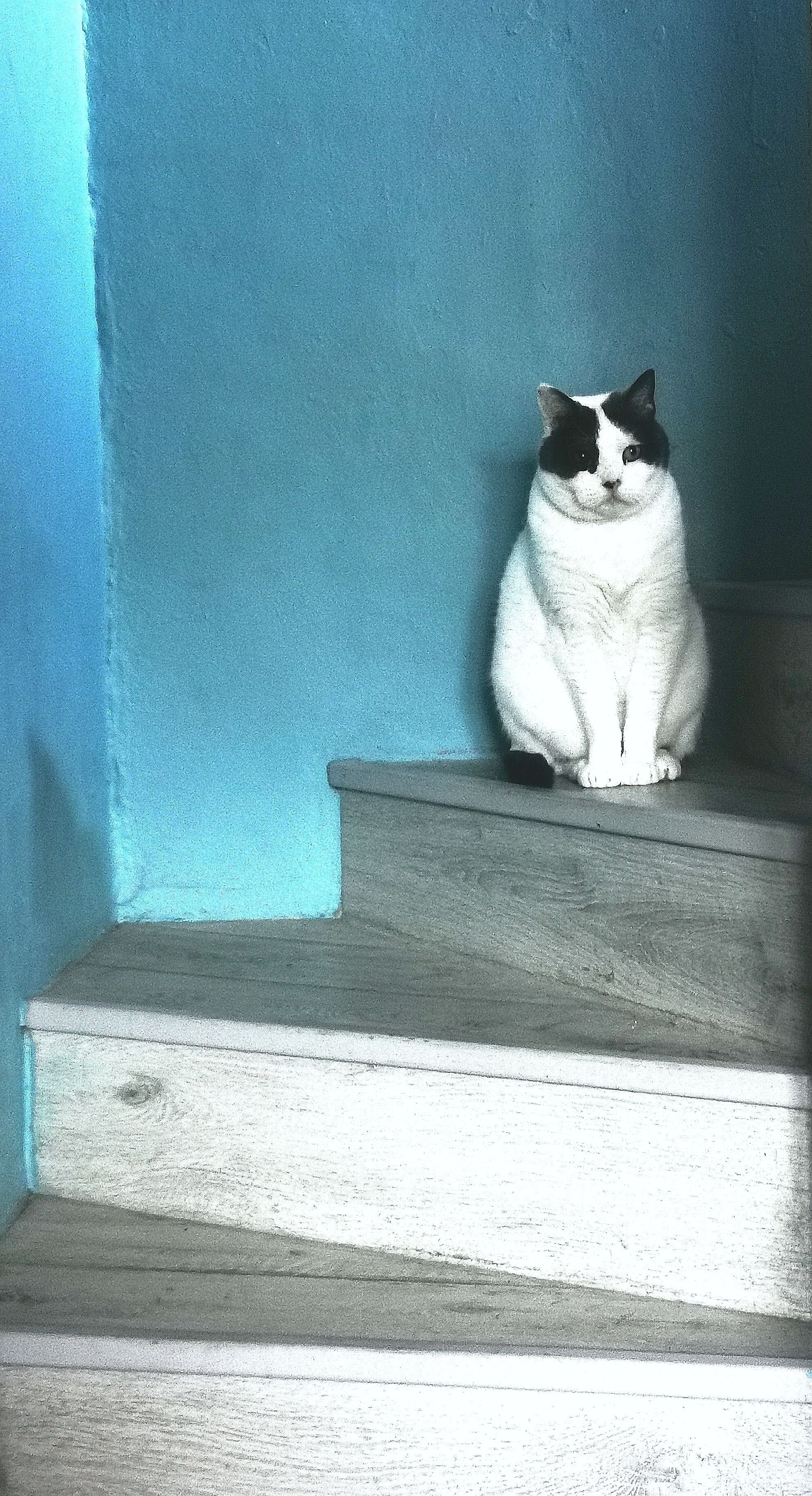 image-9