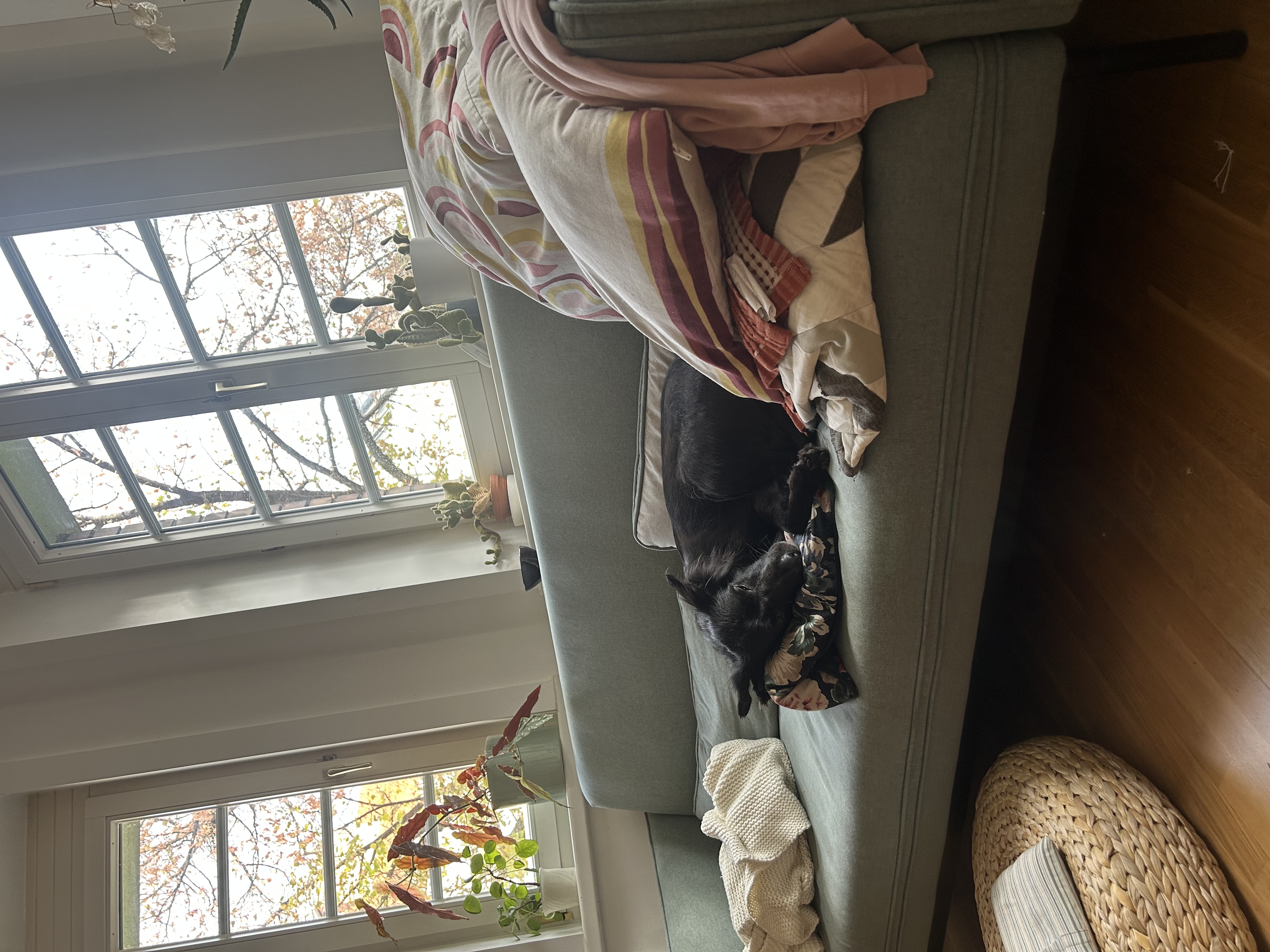 image-11