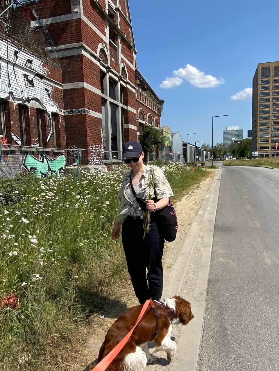 image-6