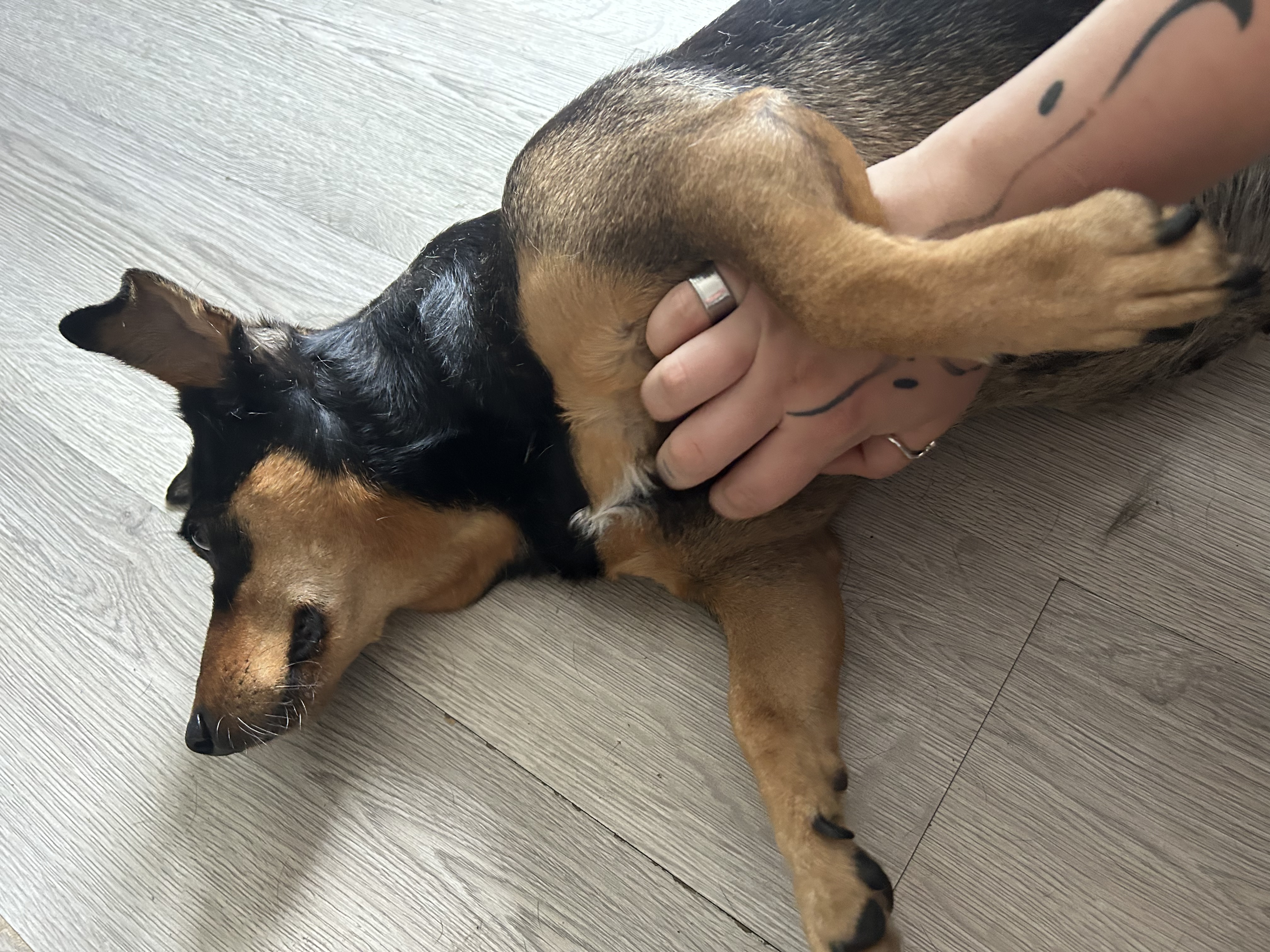 image-9