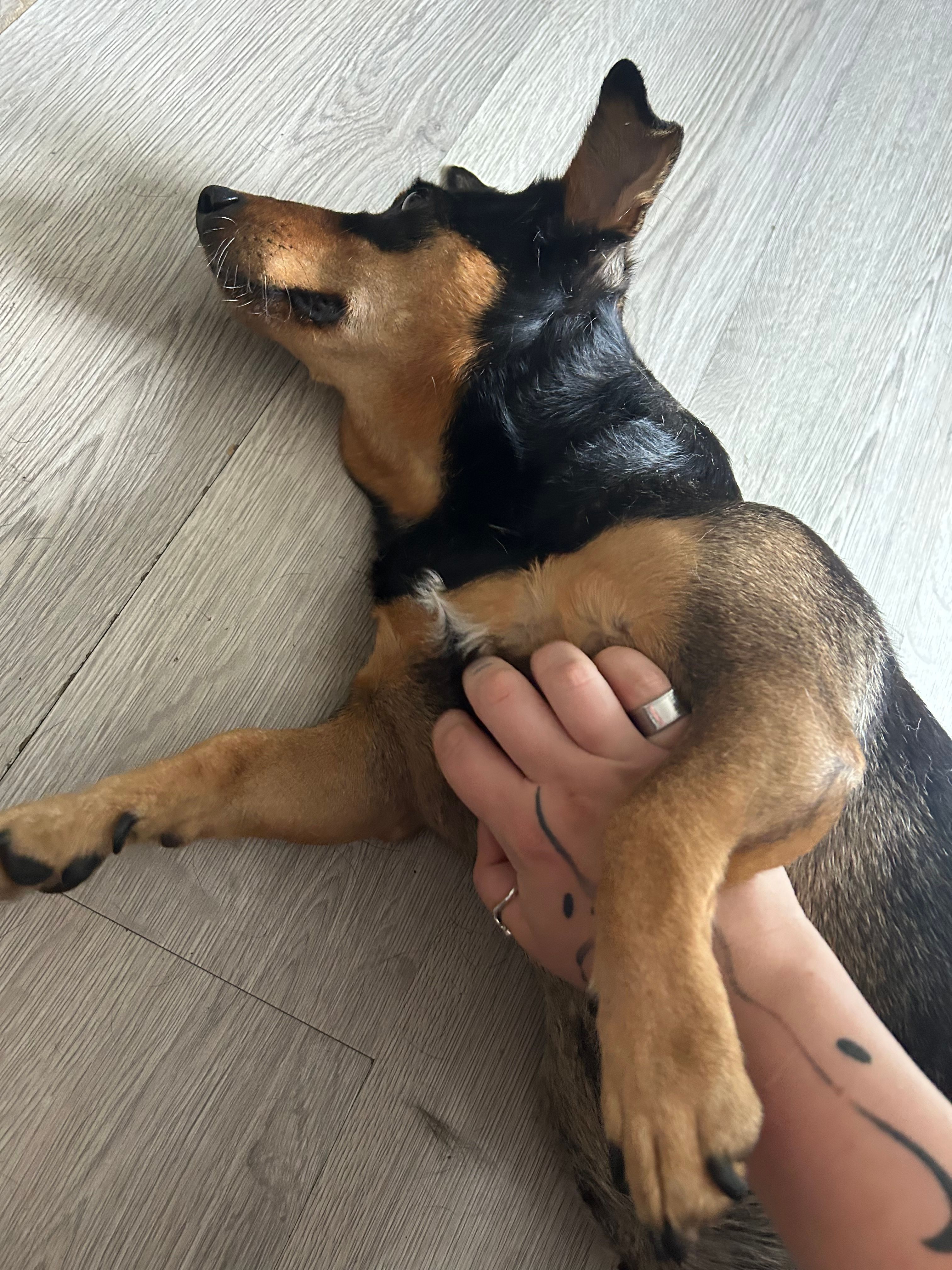 image-9