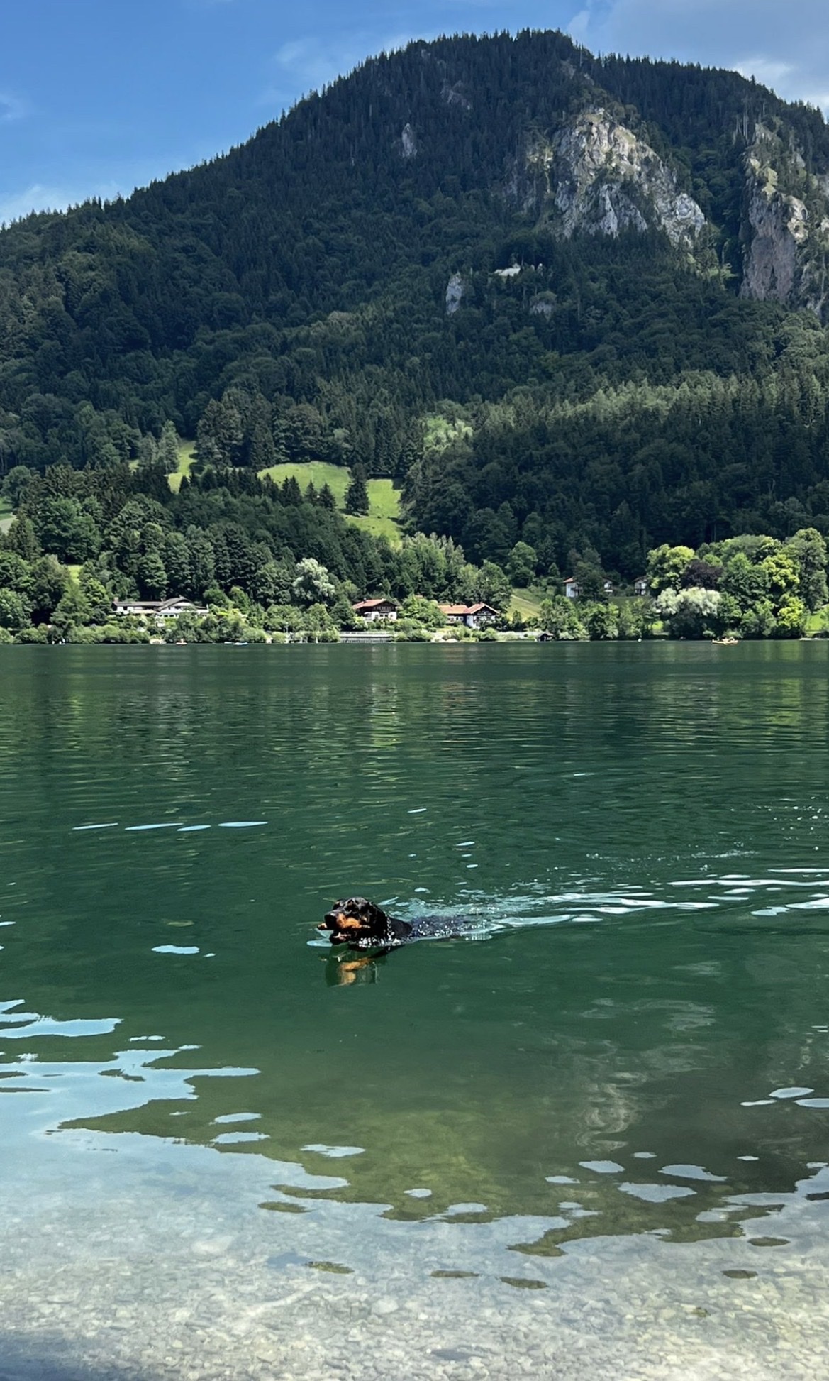 image-16
