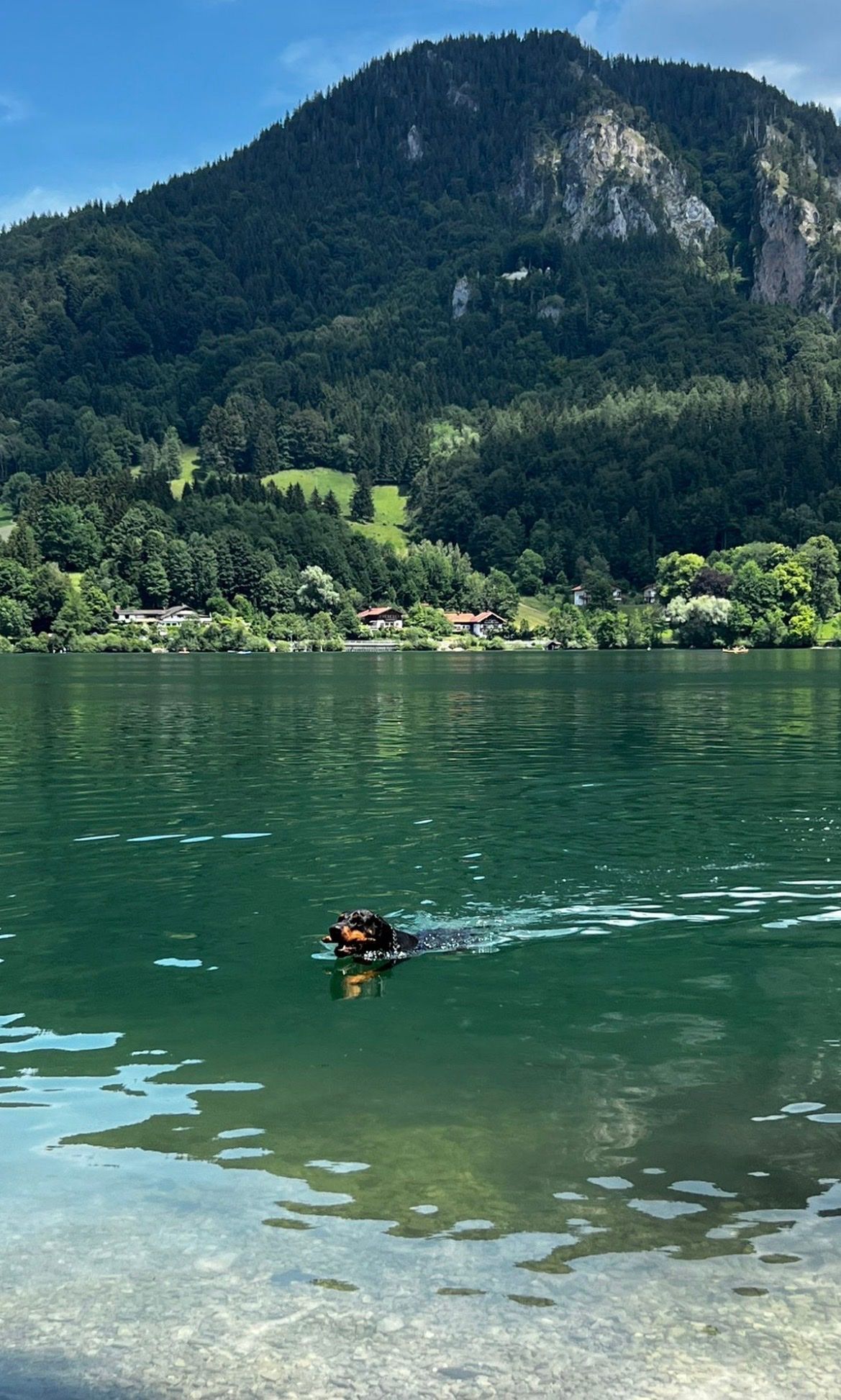 image-16