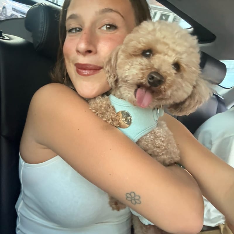 Ludovica