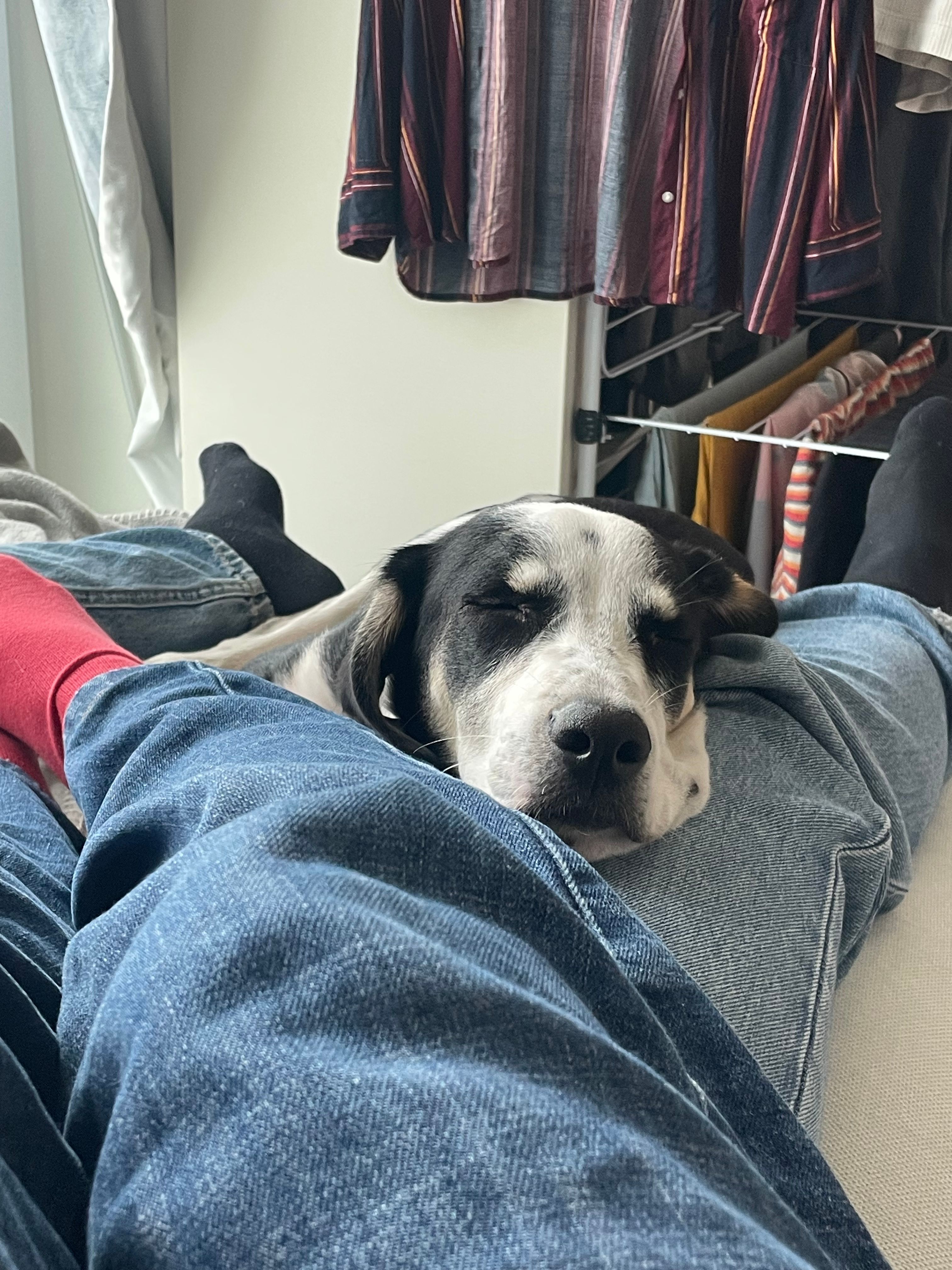 image-2