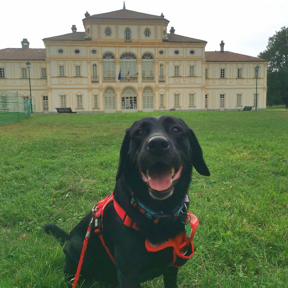 Marley