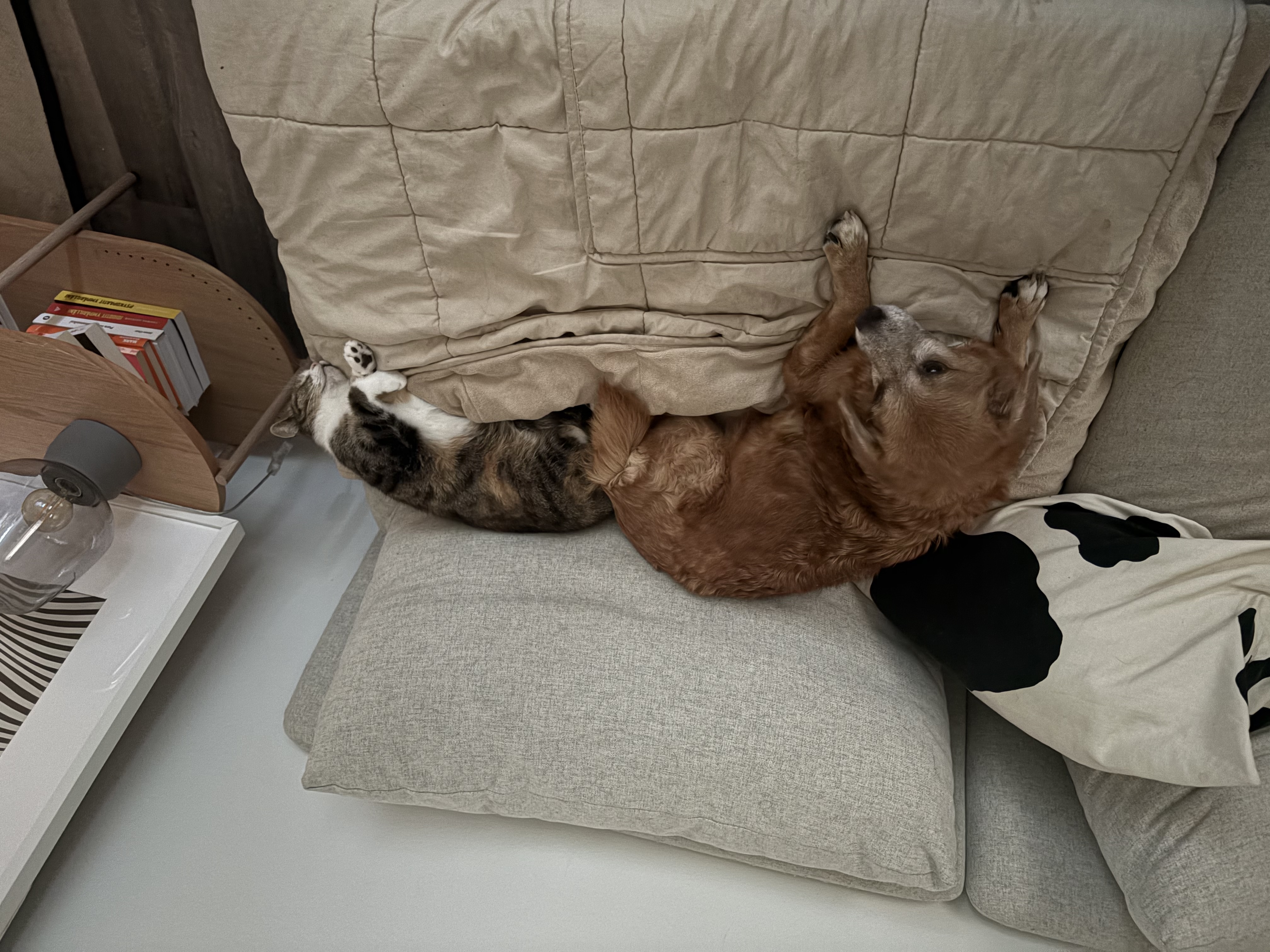 image-3