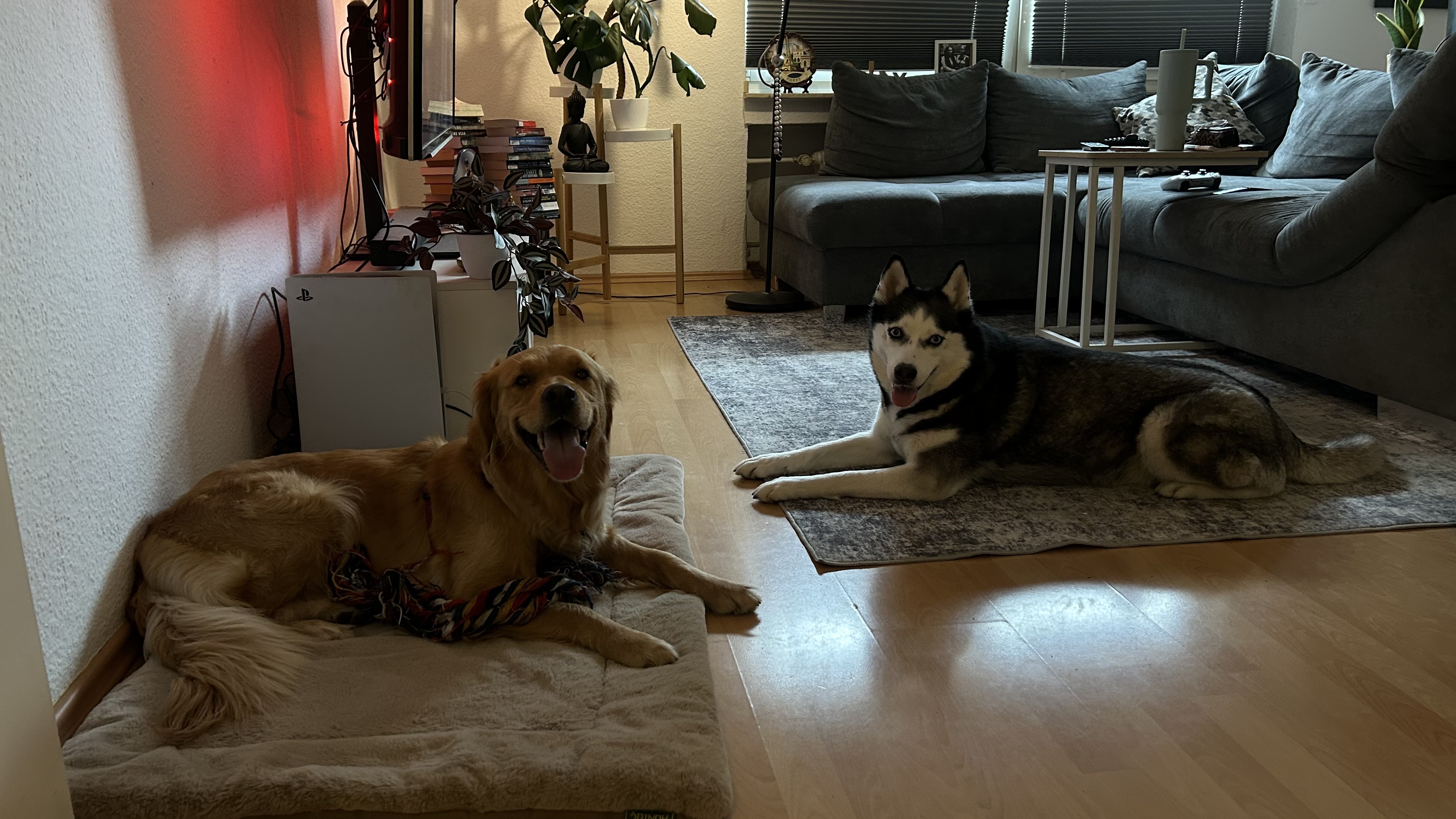image-11