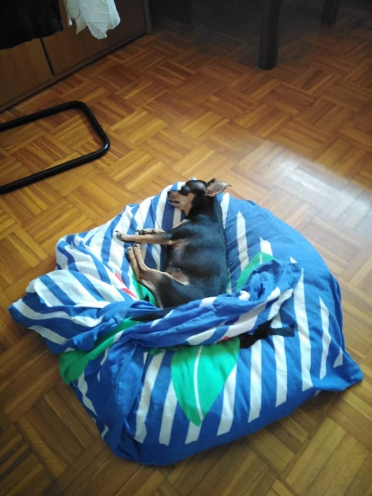 image-6