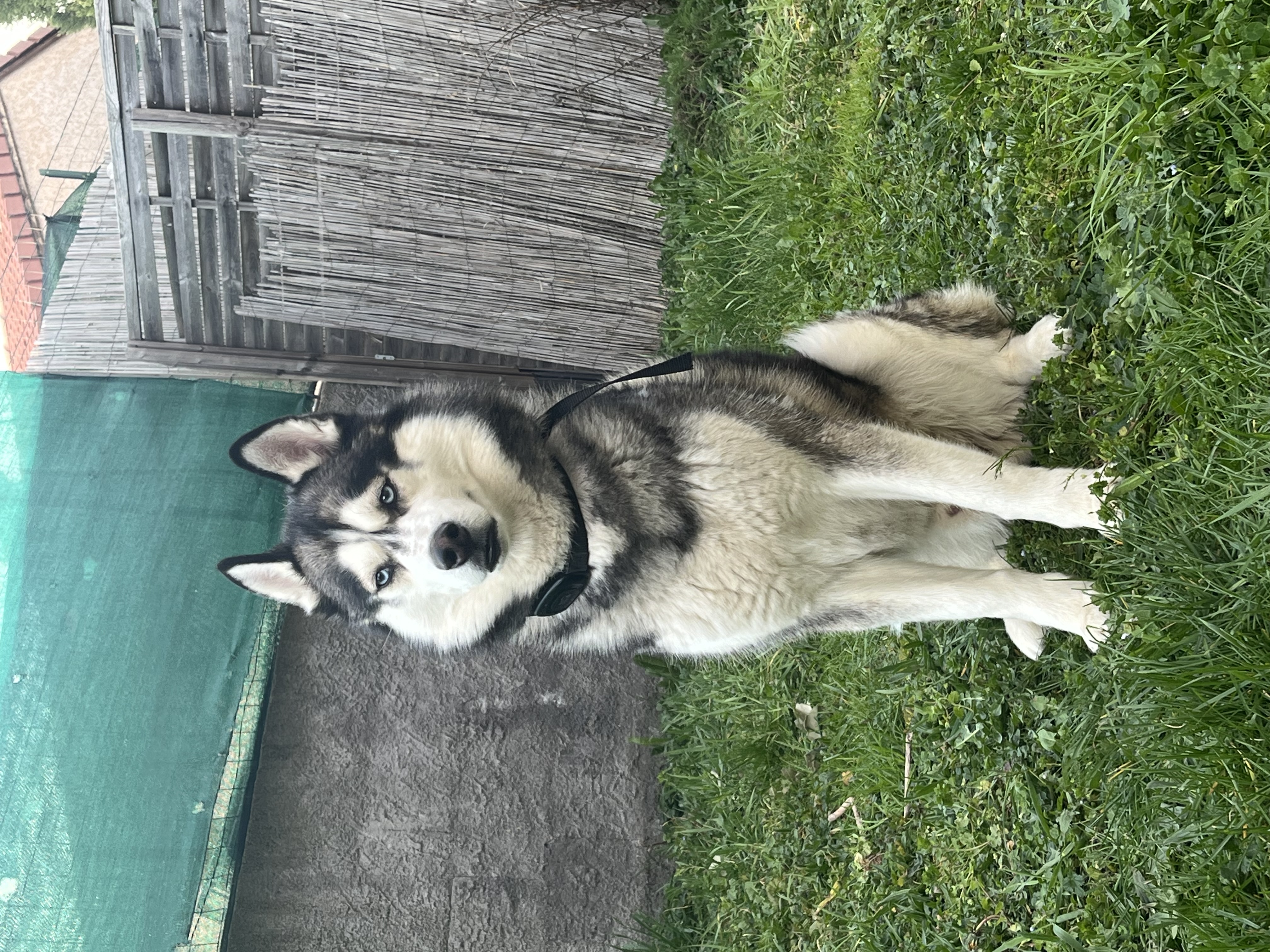 image-6