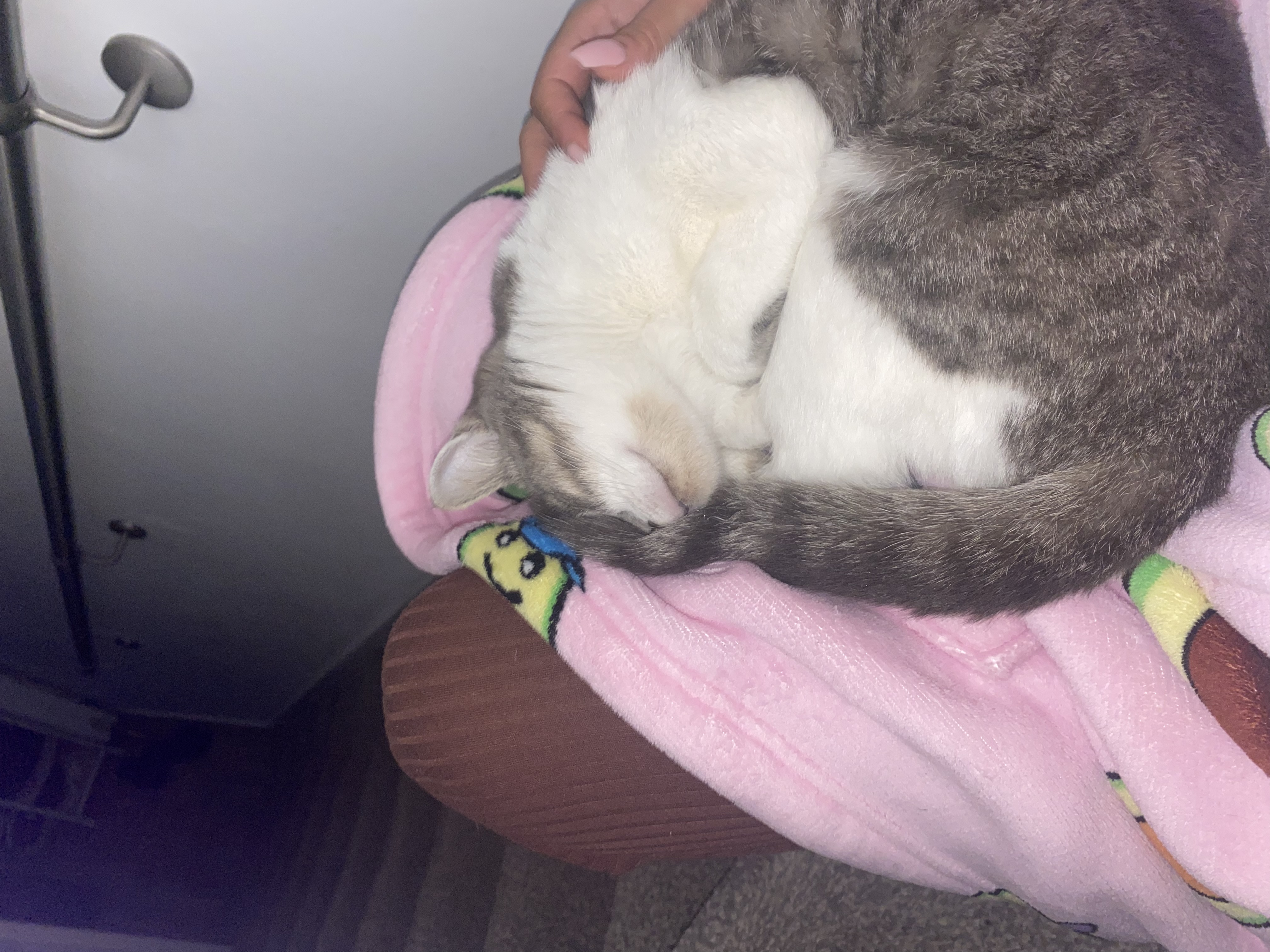 image-5