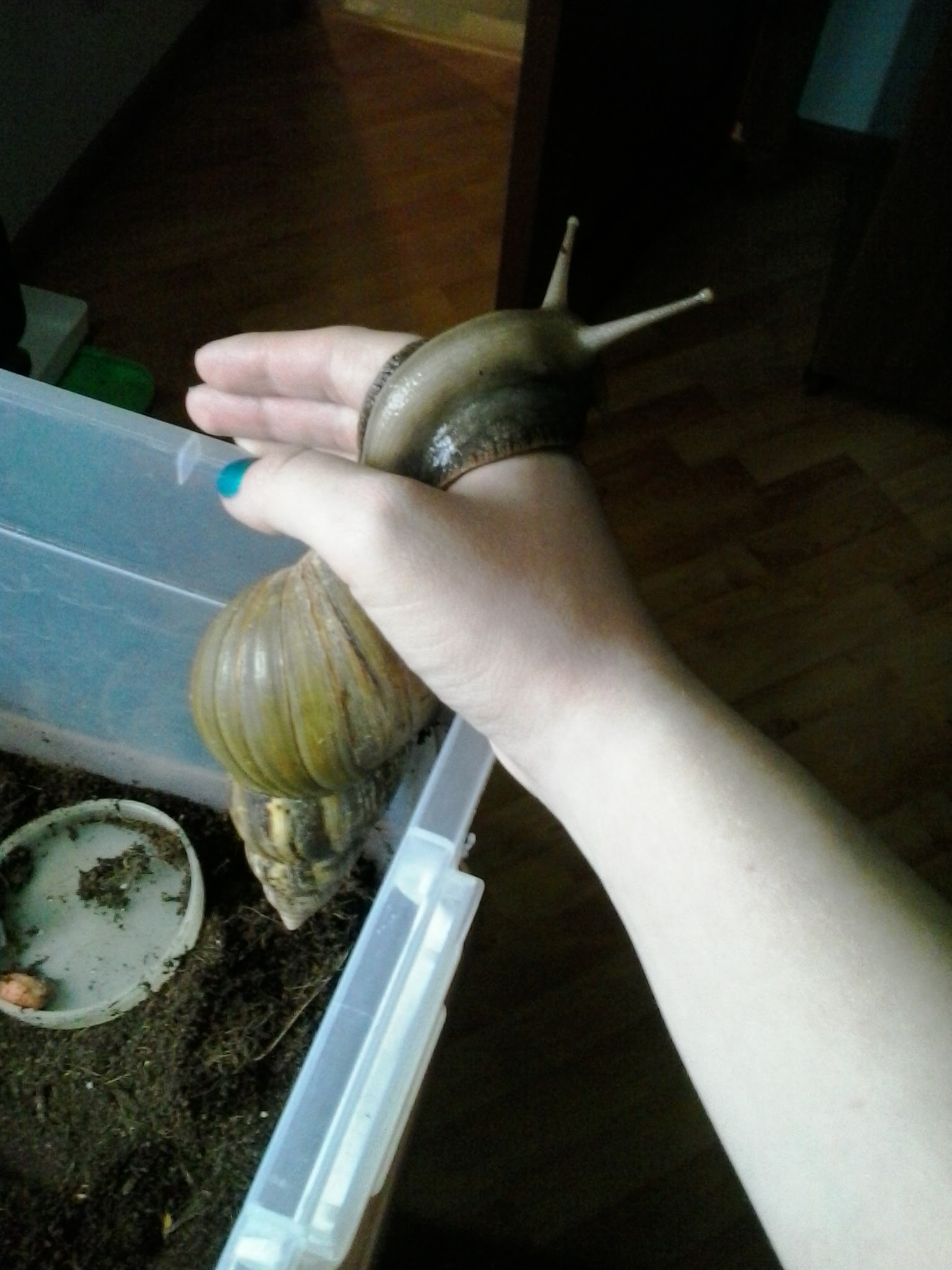 image-6