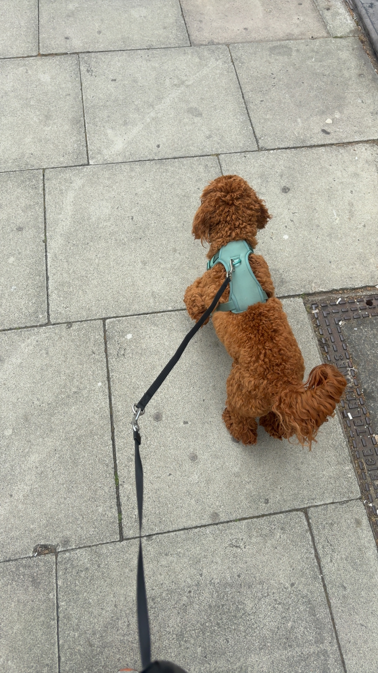 image-7