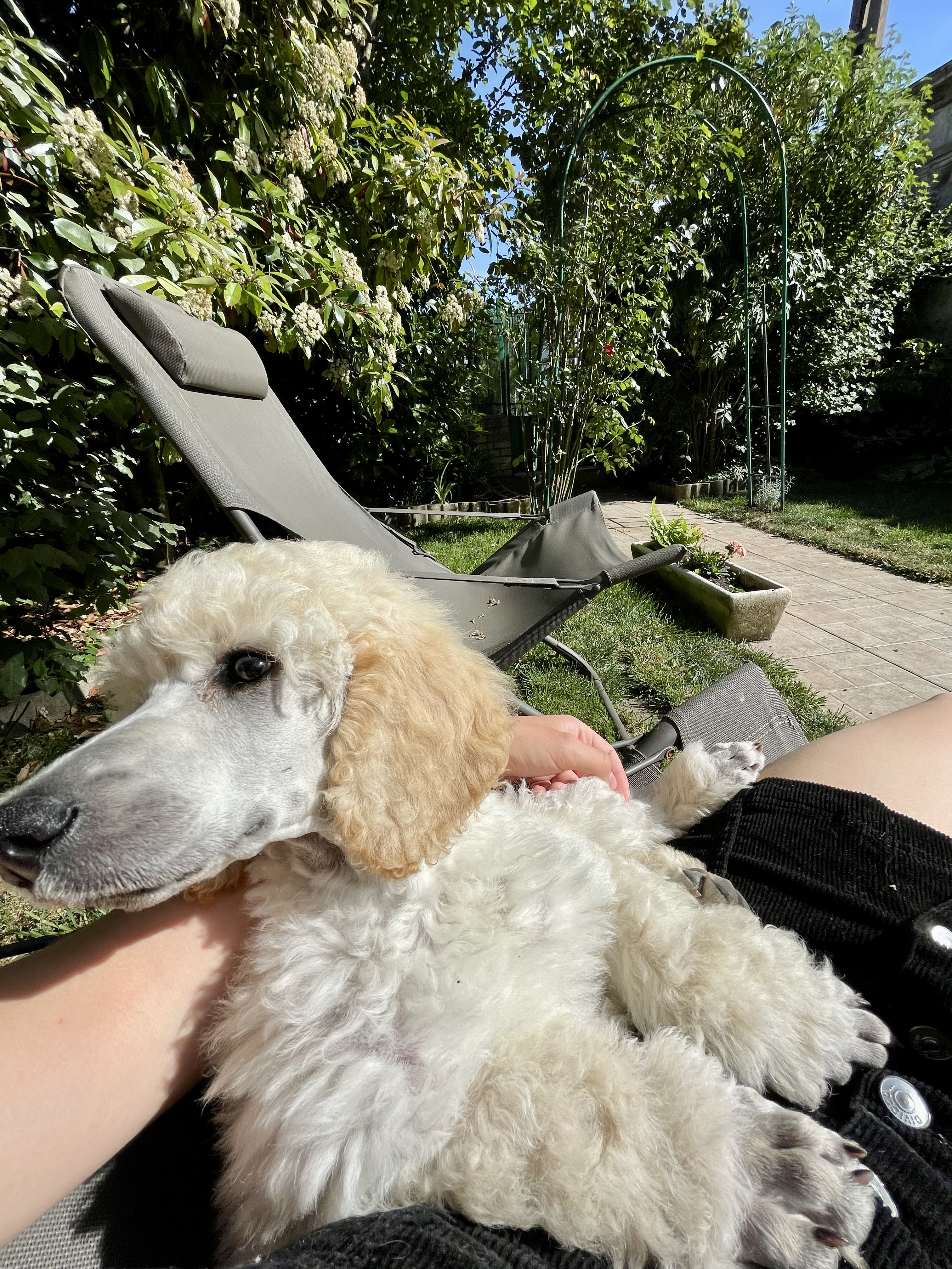image-6