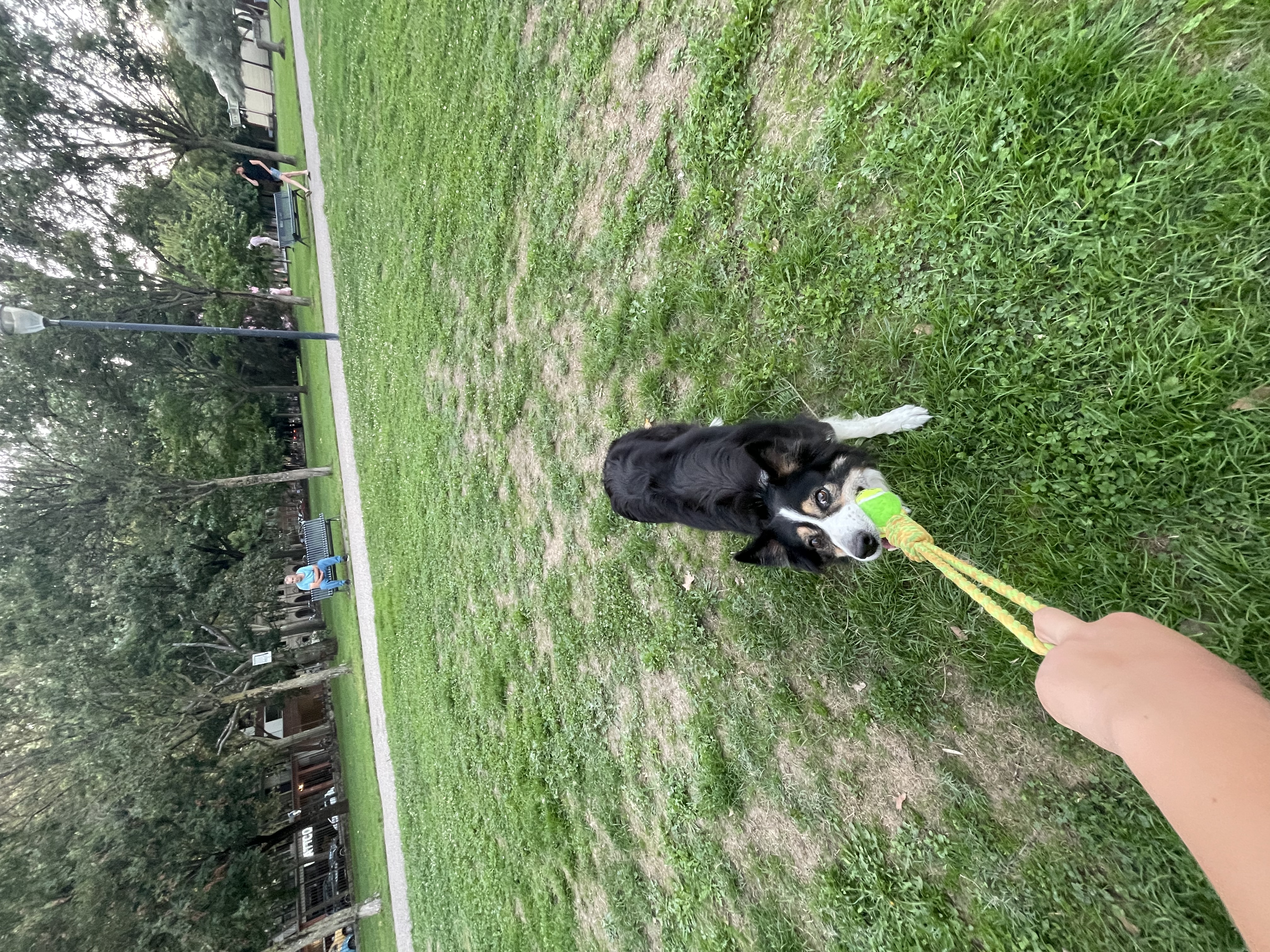 image-4