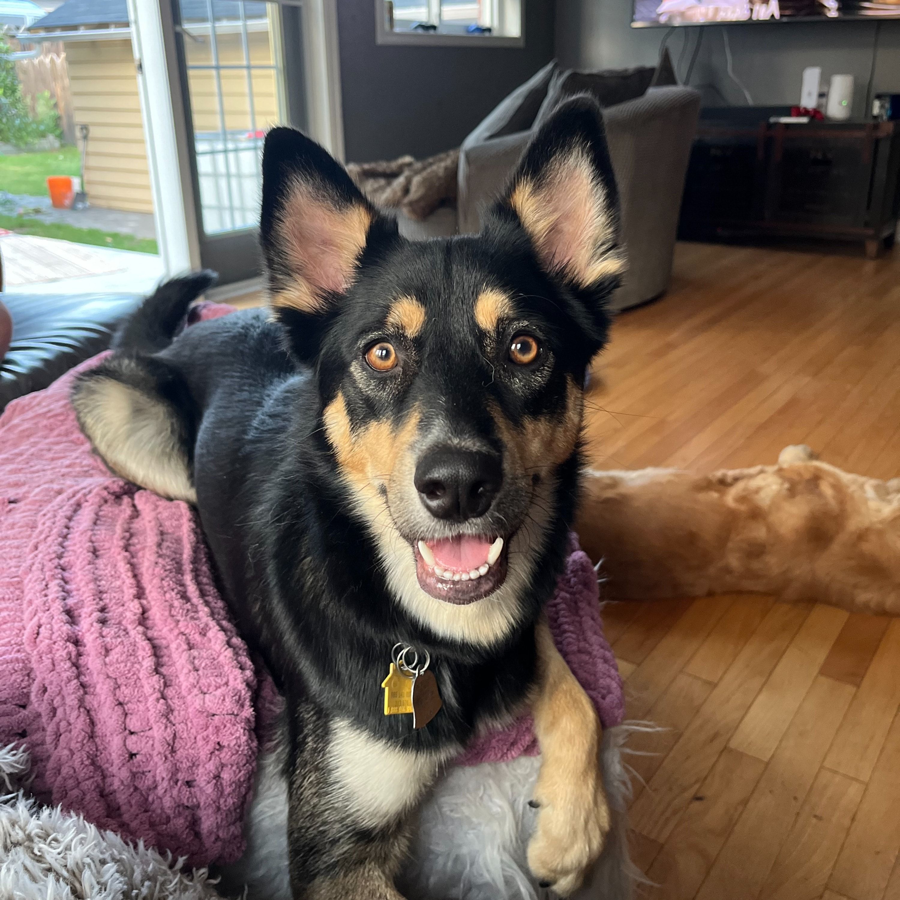 Loki