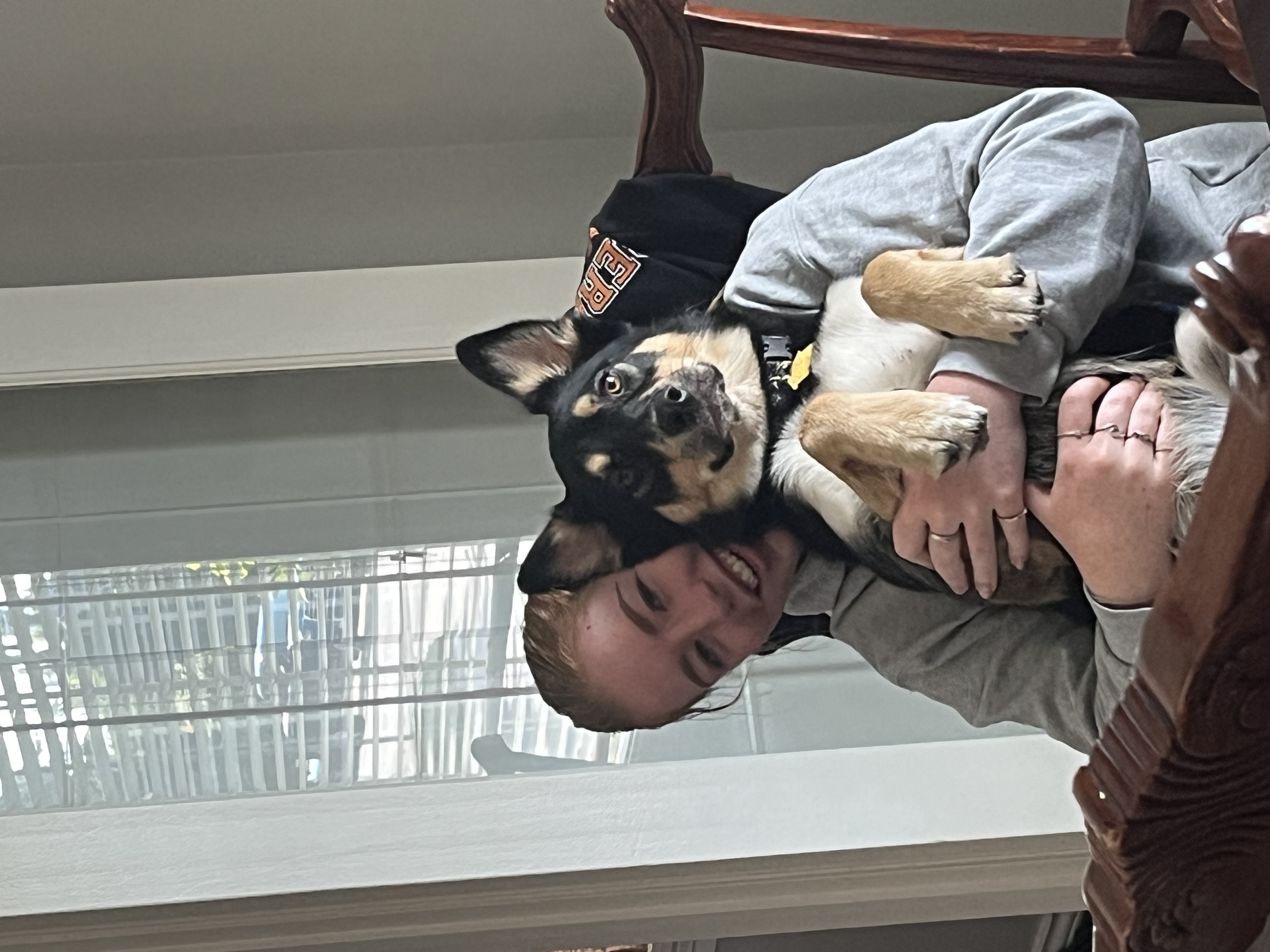 image-7