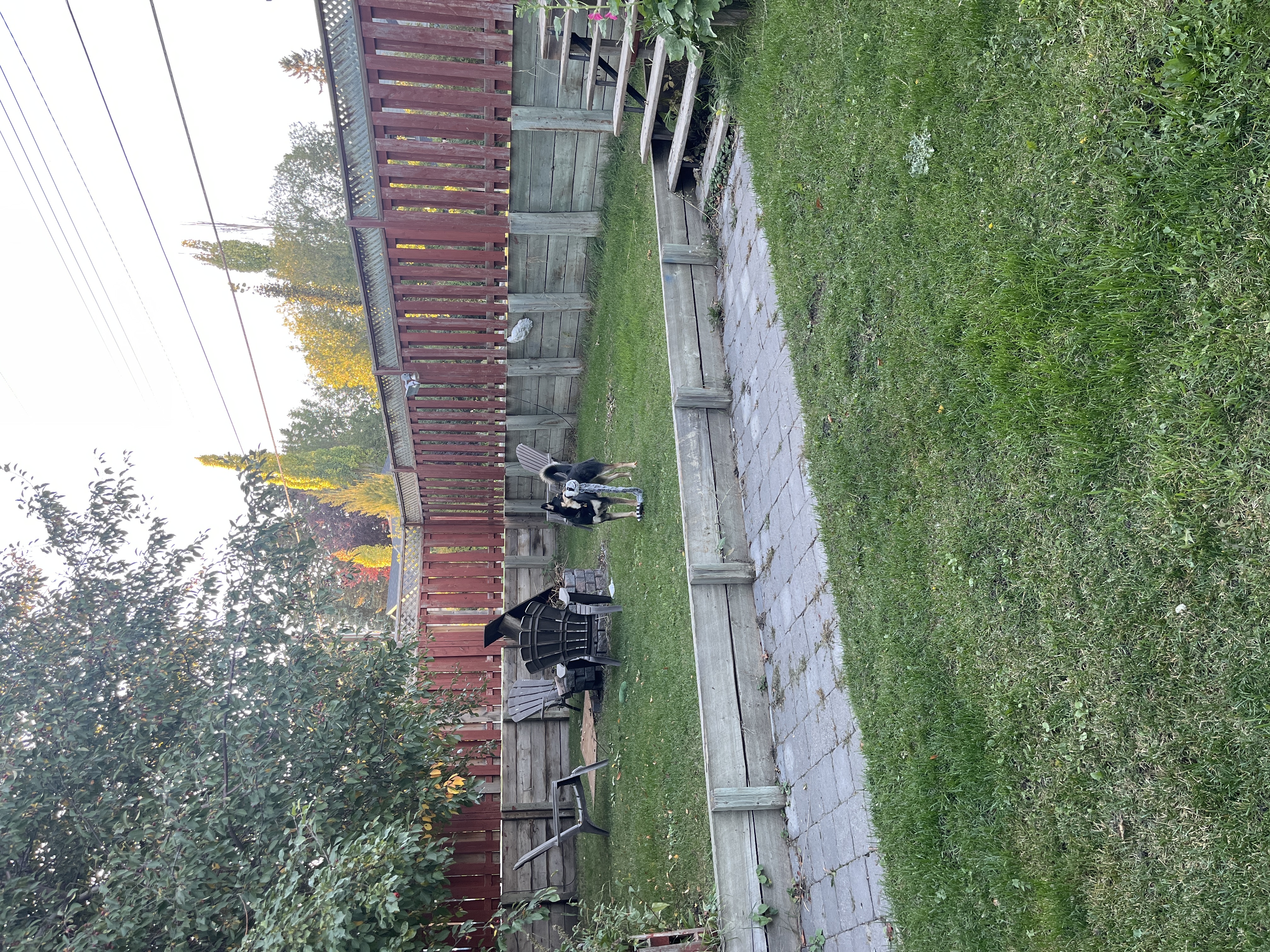 image-11